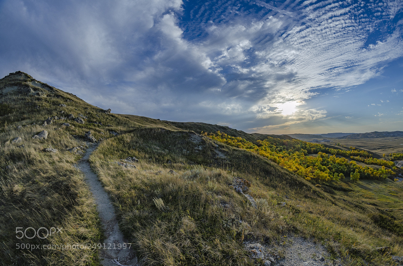 Nikon D5100 sample photo. Trail () photography