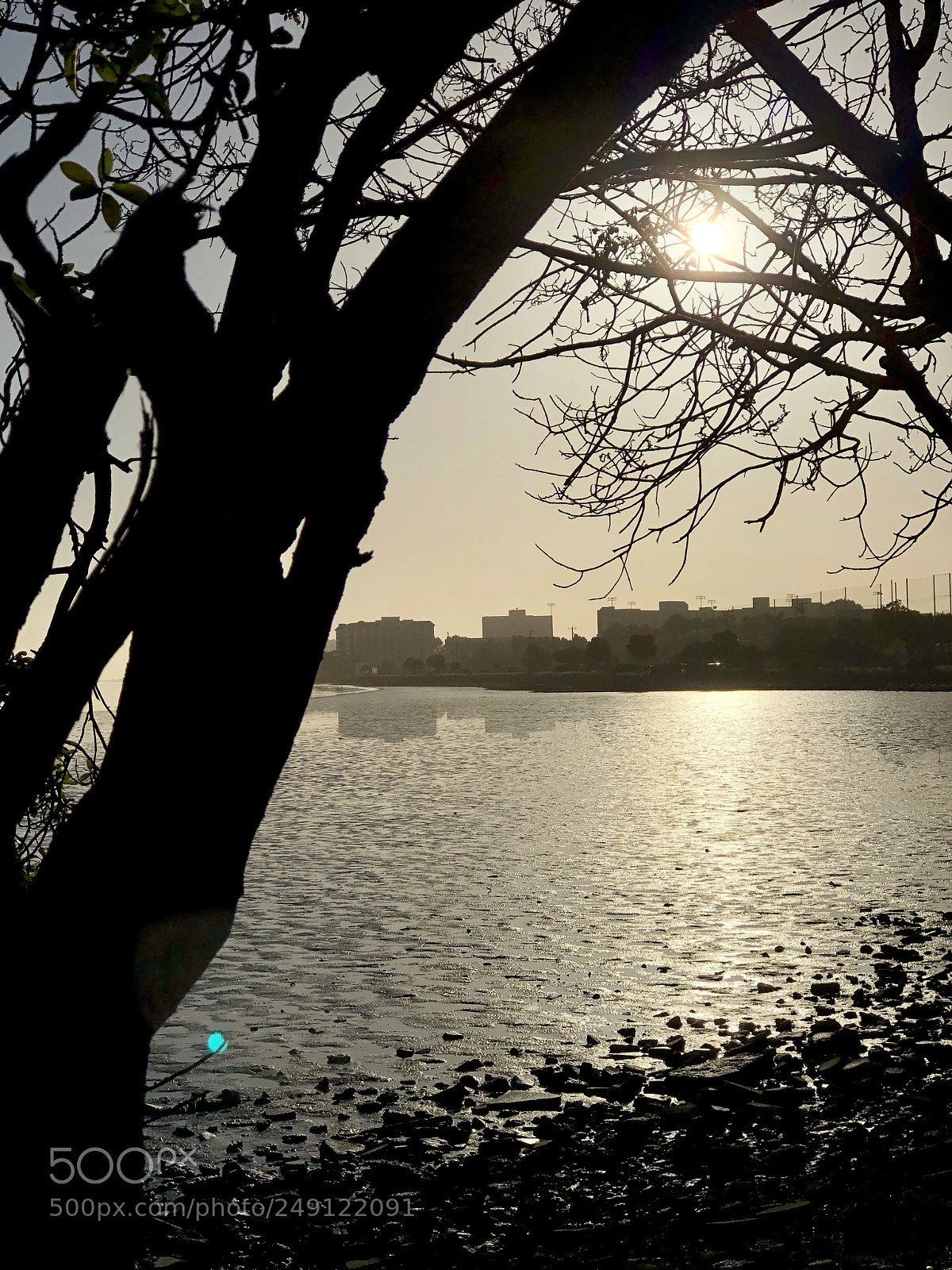 Apple iPhone 8 Plus sample photo. Sunrise, burlingame - usa photography