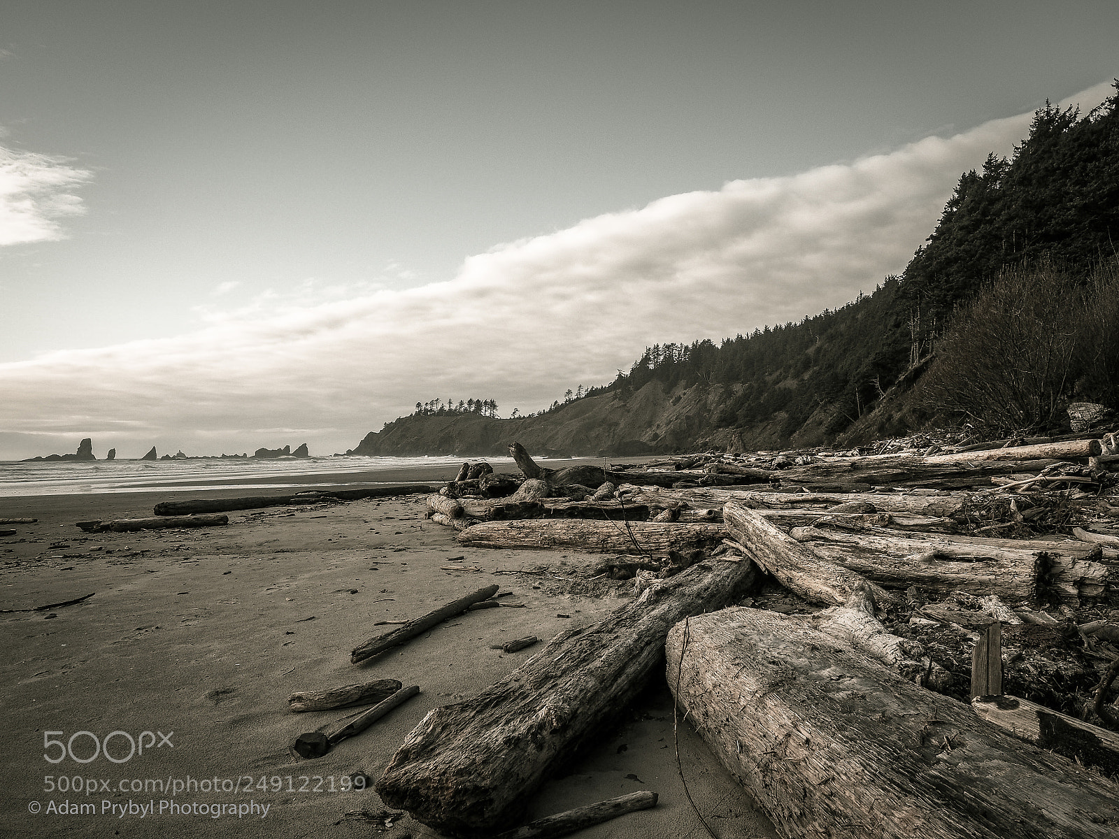 Olympus OM-D E-M5 II sample photo. Oregon coast photography
