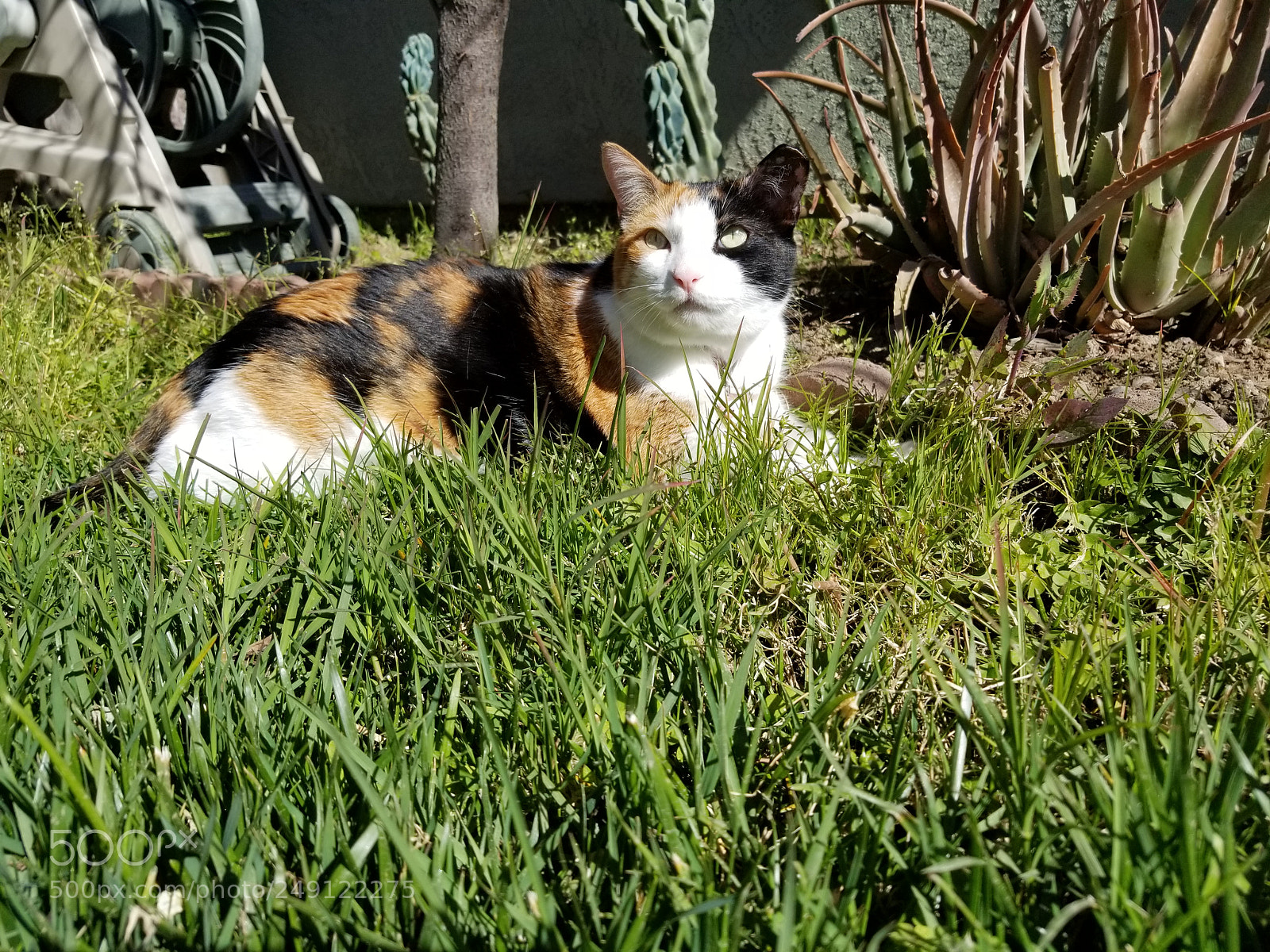 Samsung Galaxy S8+ sample photo. Enjoying the great outdoors photography