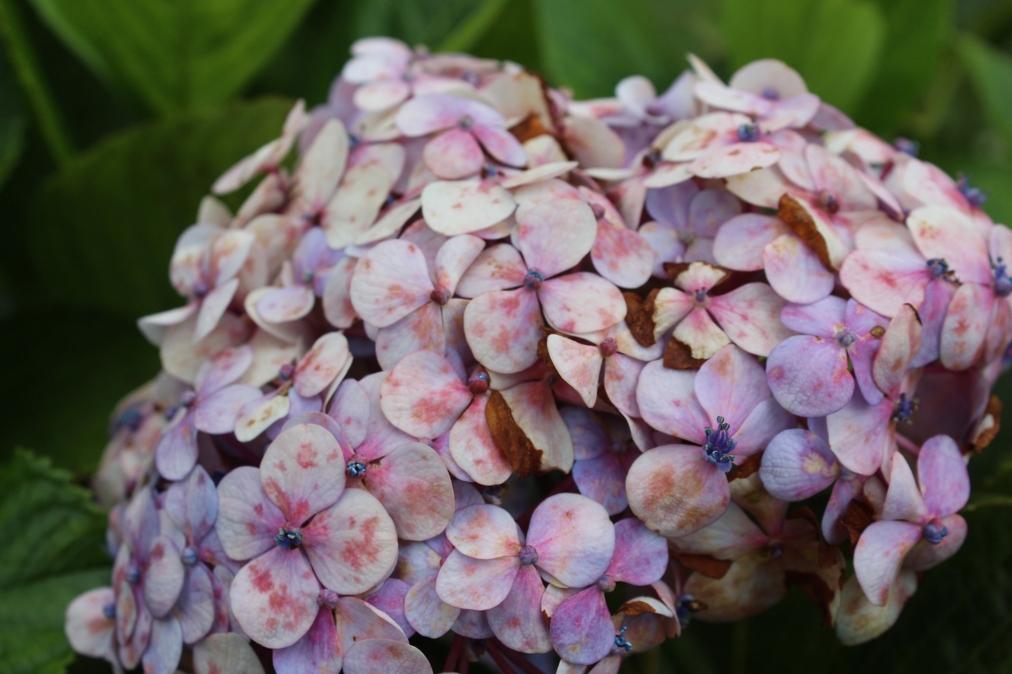 Canon EOS 700D (EOS Rebel T5i / EOS Kiss X7i) sample photo. Time is running out photography