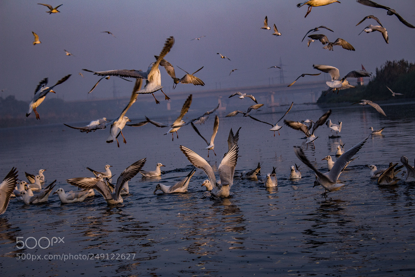 Canon EOS 700D (EOS Rebel T5i / EOS Kiss X7i) sample photo. Yamuna ghat photography