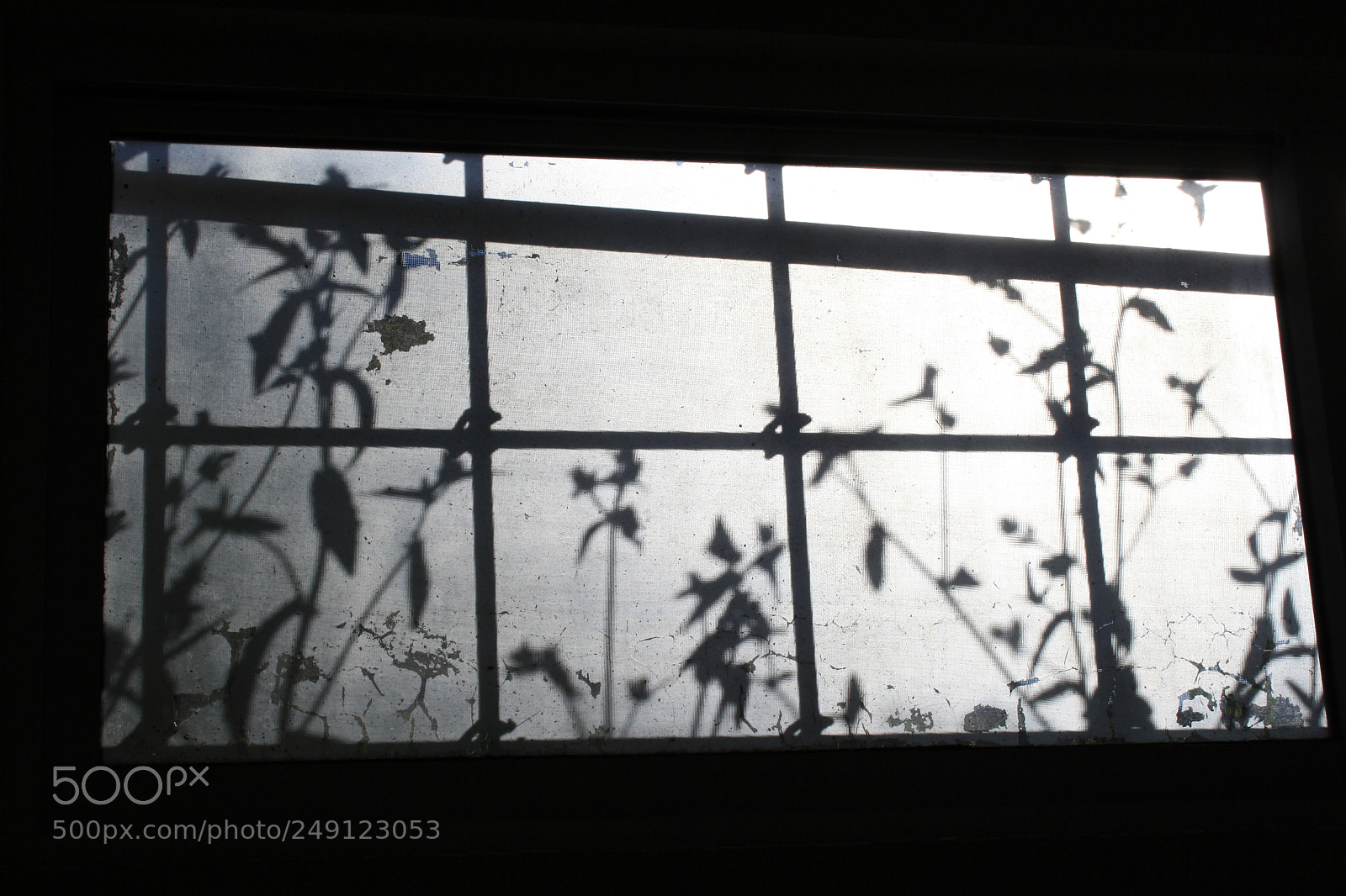 Canon EOS 1000D (EOS Digital Rebel XS / EOS Kiss F) sample photo. Sombras photography