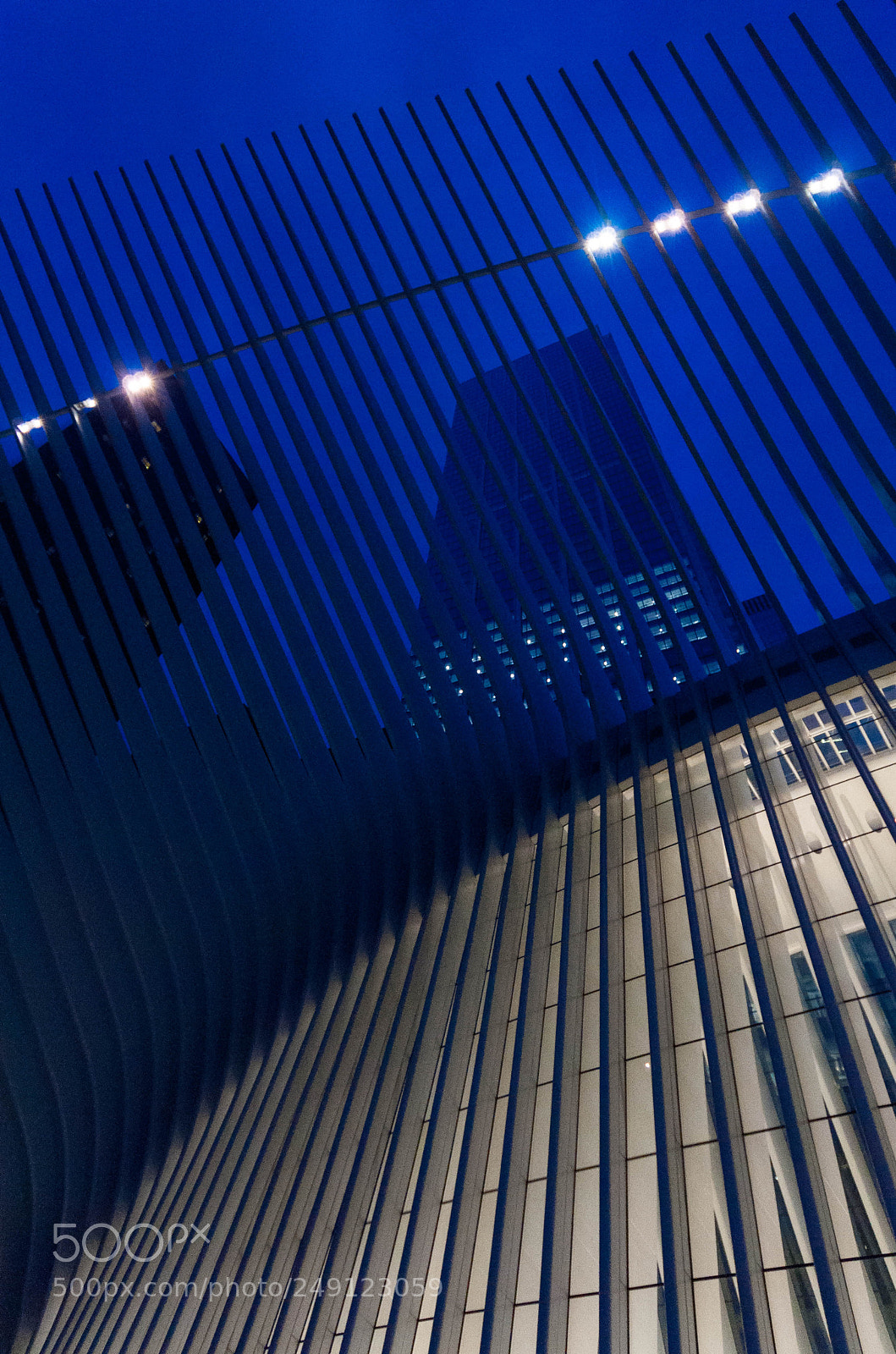 Nikon D90 sample photo. Oculus blue hour skeleton photography