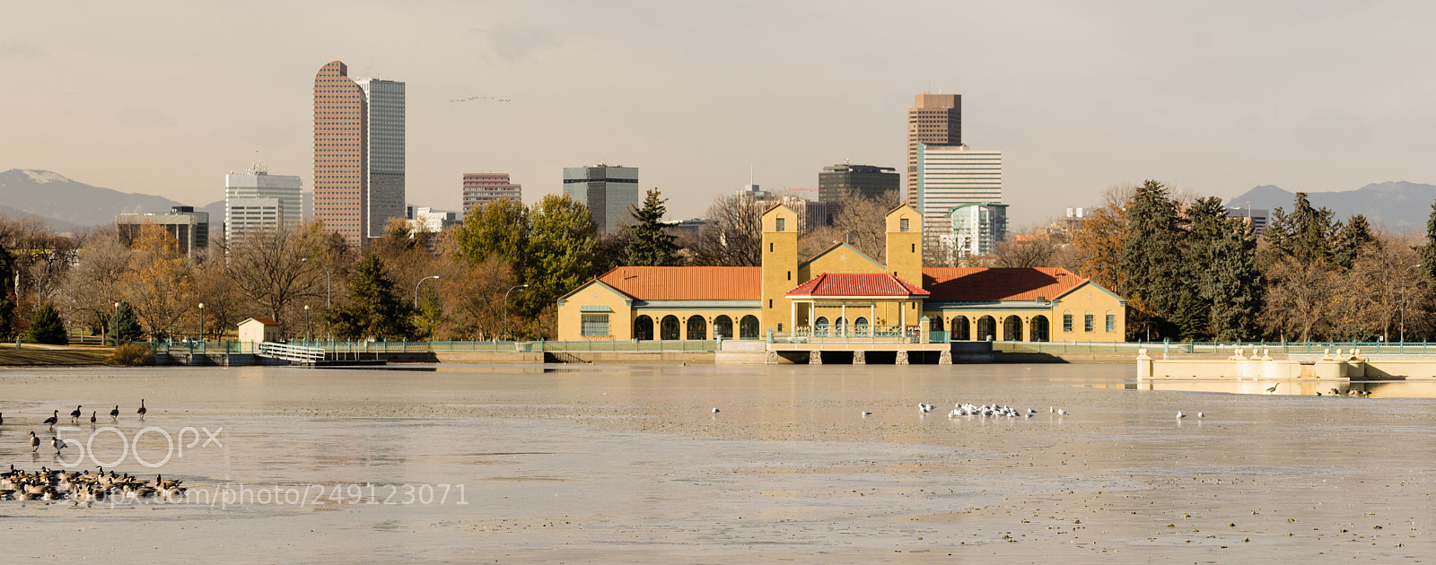 Sony a7 sample photo. Lake waterfowl birds ferril photography