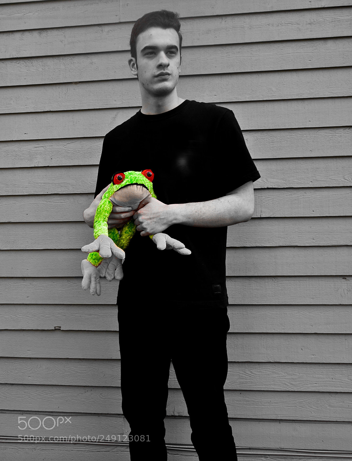 Sony a6000 sample photo. Frog photography