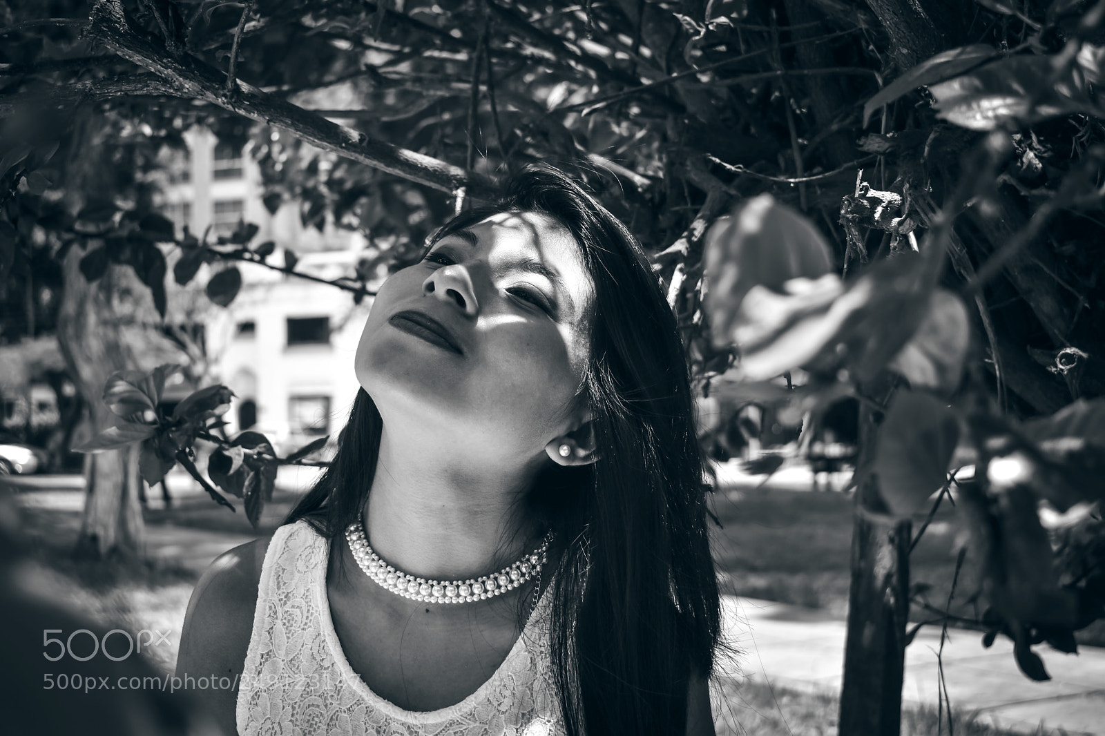 Nikon D5600 sample photo. Blanco y negro photography
