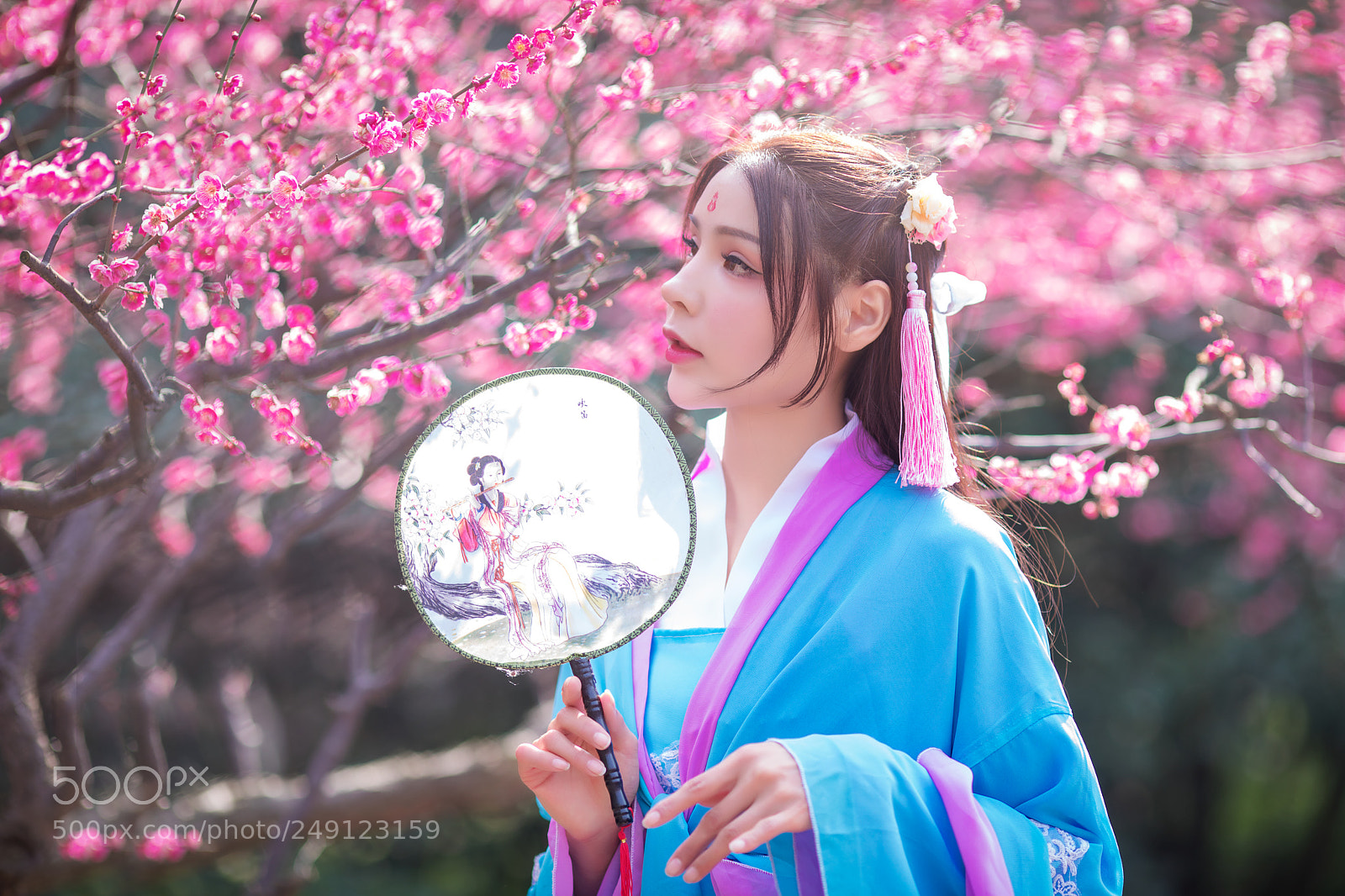 Canon EOS 5D Mark IV sample photo. 梅花三弄 photography