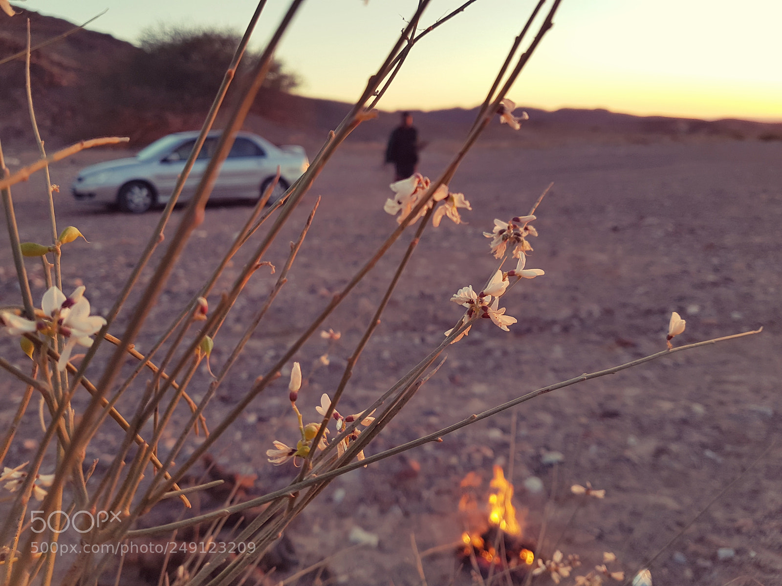 Samsung Galaxy S7 sample photo. Untitled photography