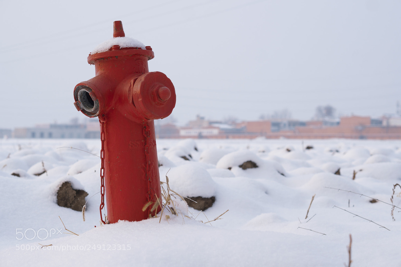 Sony a6300 sample photo. White snow and hot photography