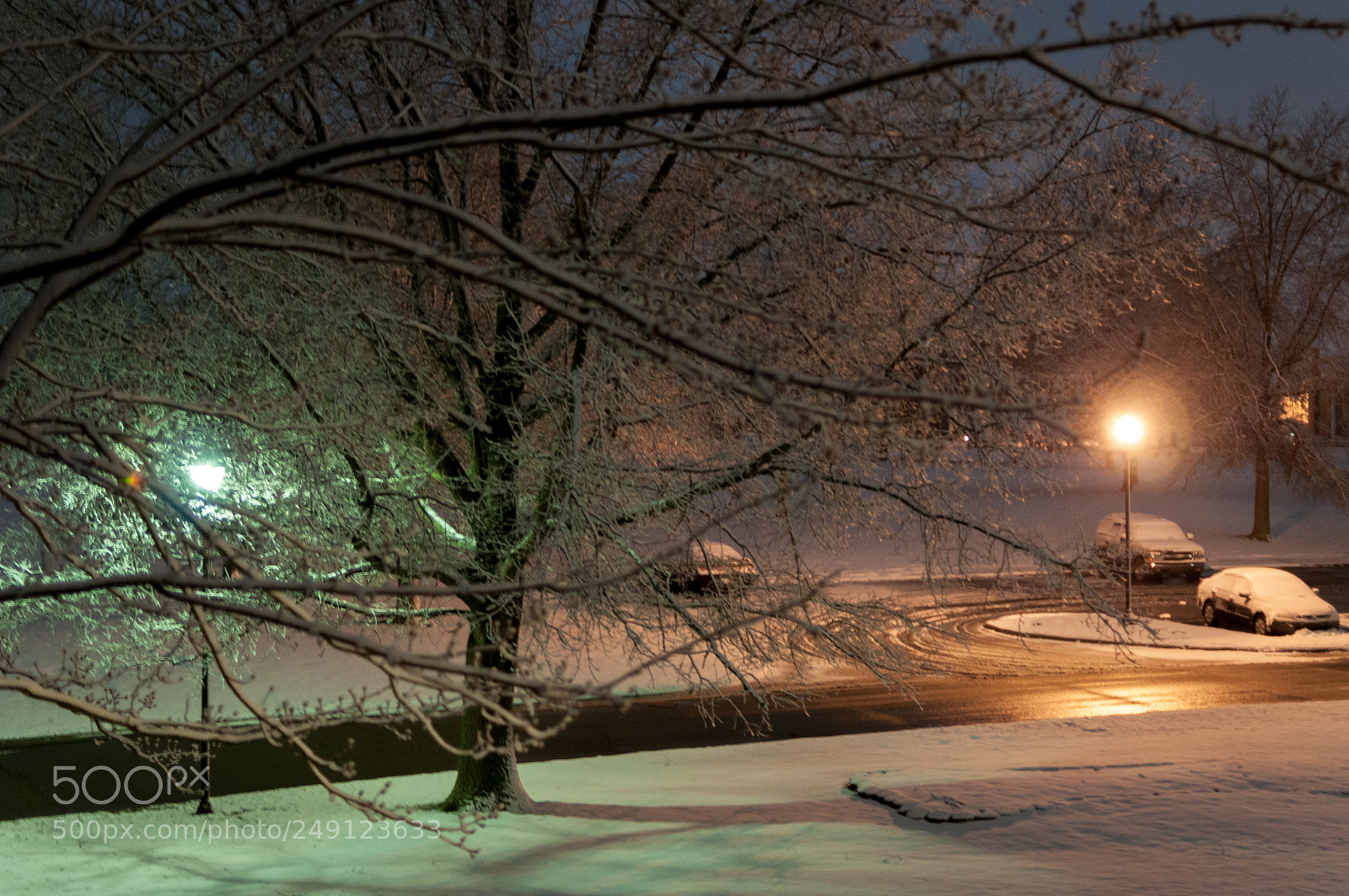 Nikon D300 sample photo. A late michigan winter photography