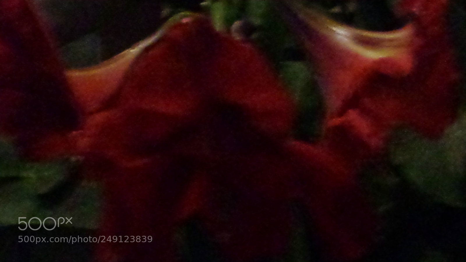 Samsung Galaxy S4 sample photo. Untitled photography