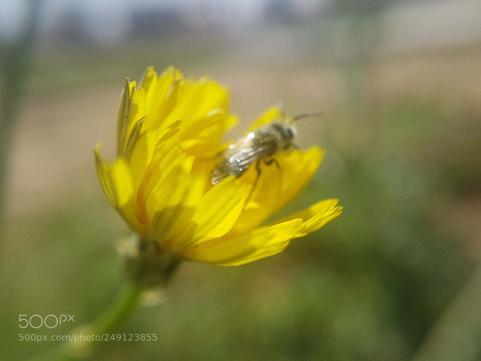 Samsung Galaxy S7 sample photo. Untitled photography
