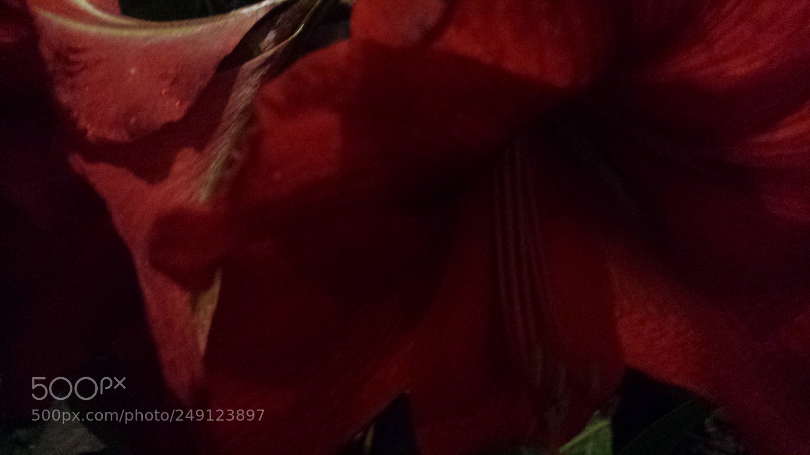 Samsung Galaxy S4 sample photo. Untitled photography