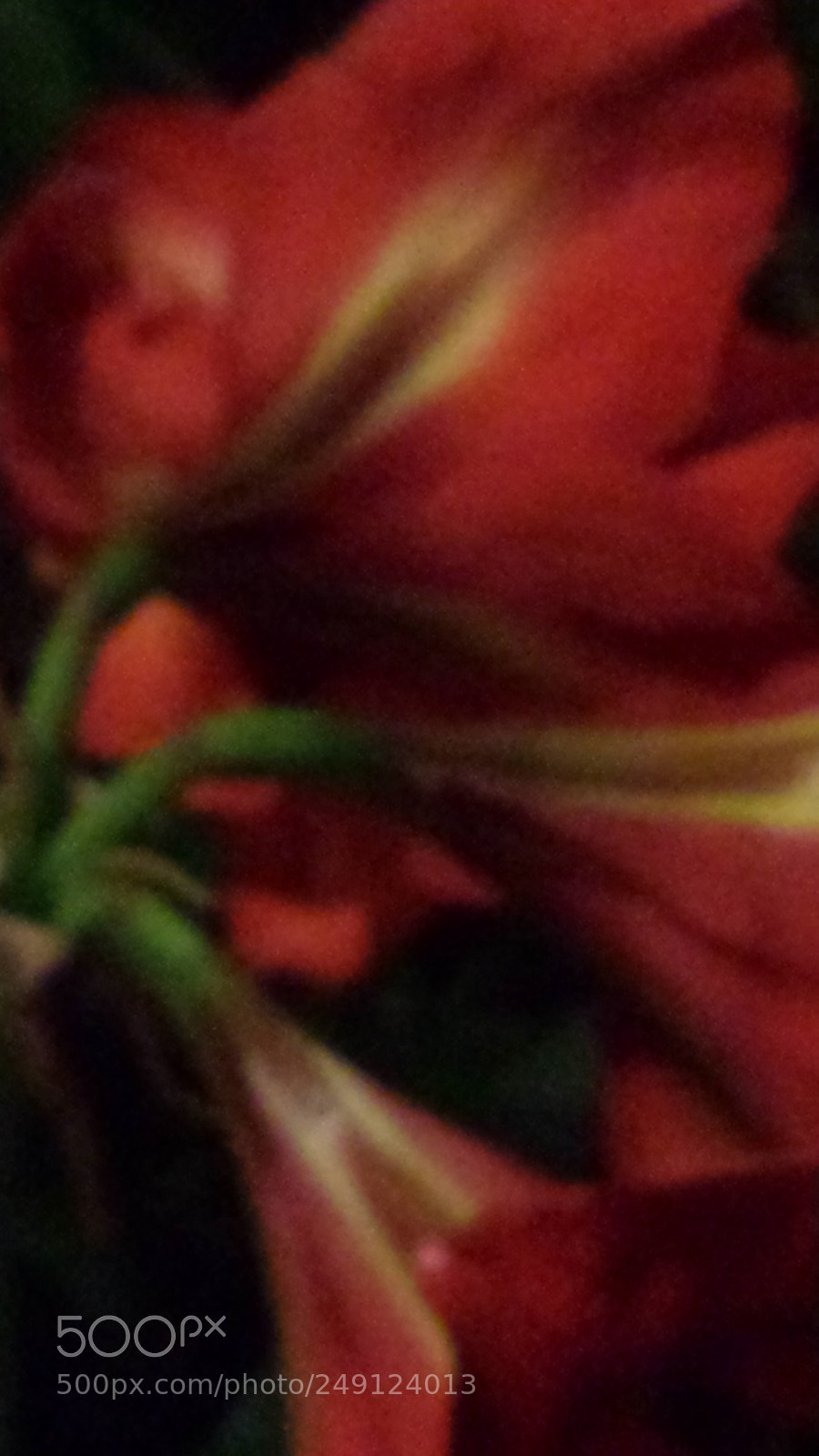 Samsung Galaxy S4 sample photo. Untitled photography