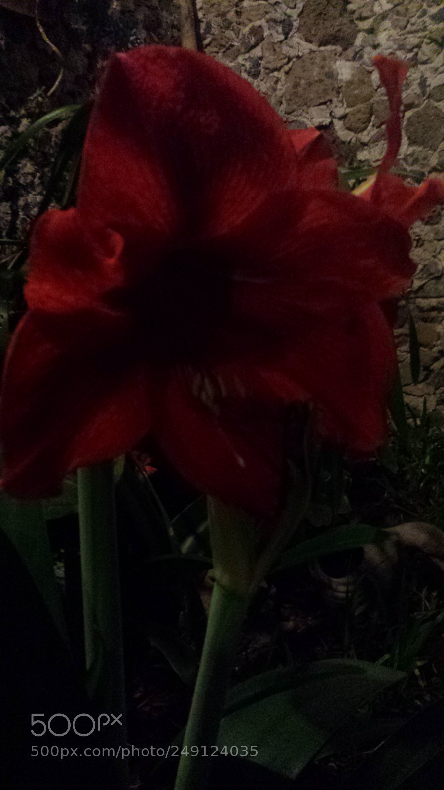 Samsung Galaxy S4 sample photo. Untitled photography