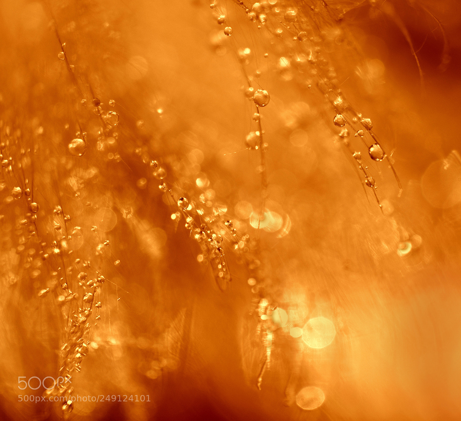 Nikon D5100 sample photo. ..a little bit warm.. photography