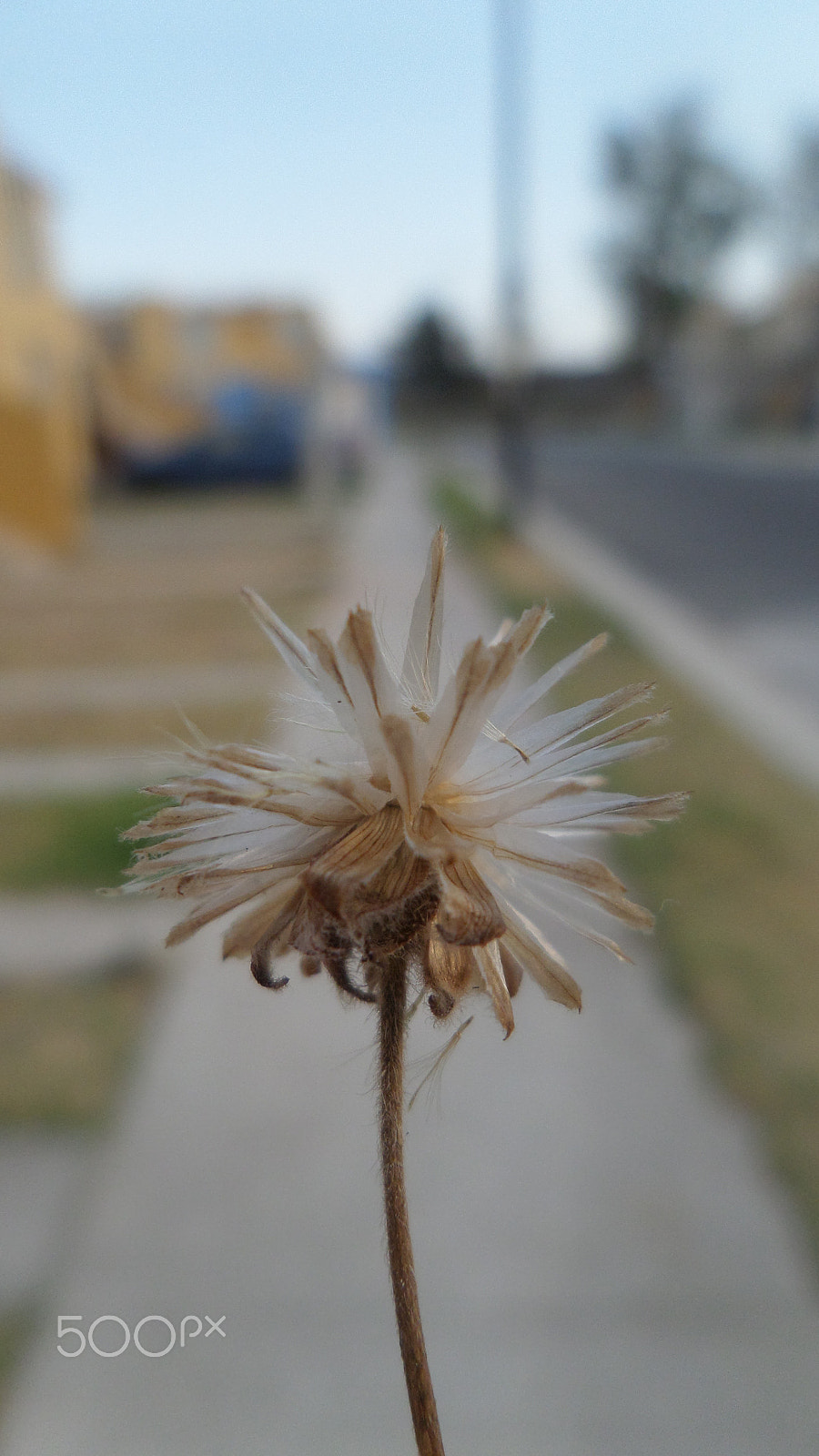 Samsung WB30F/WB31F/WB32F sample photo. Imperfecto. photography