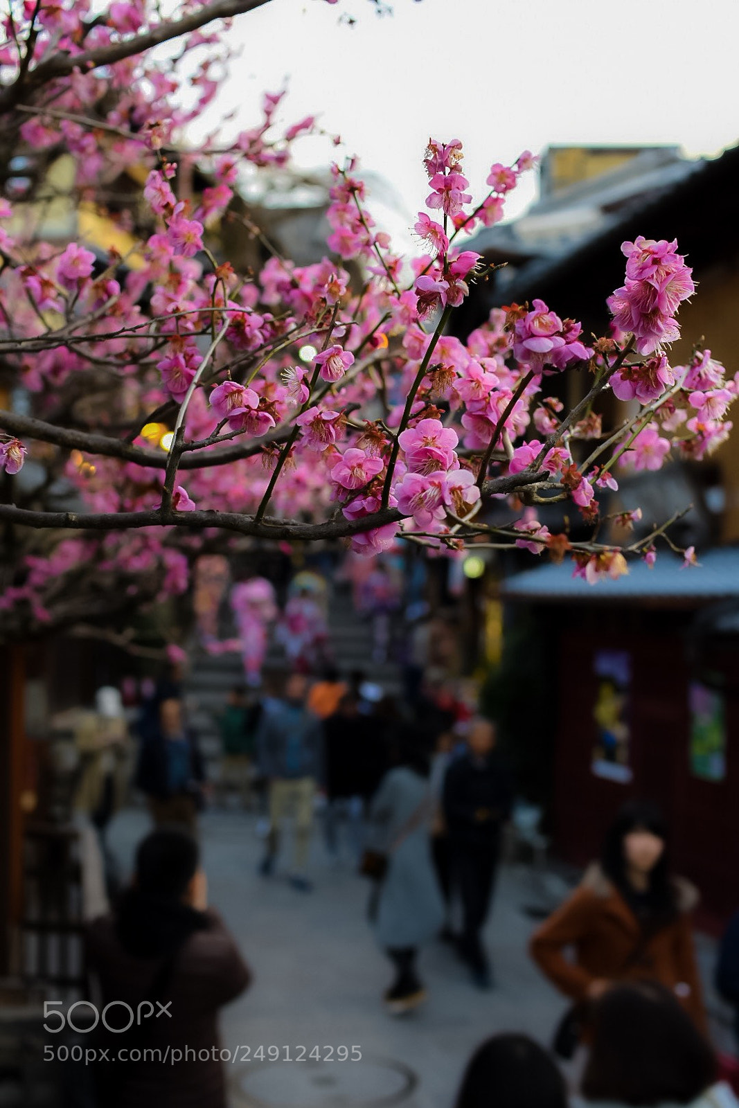 Nikon D7200 sample photo. 三年坂 photography