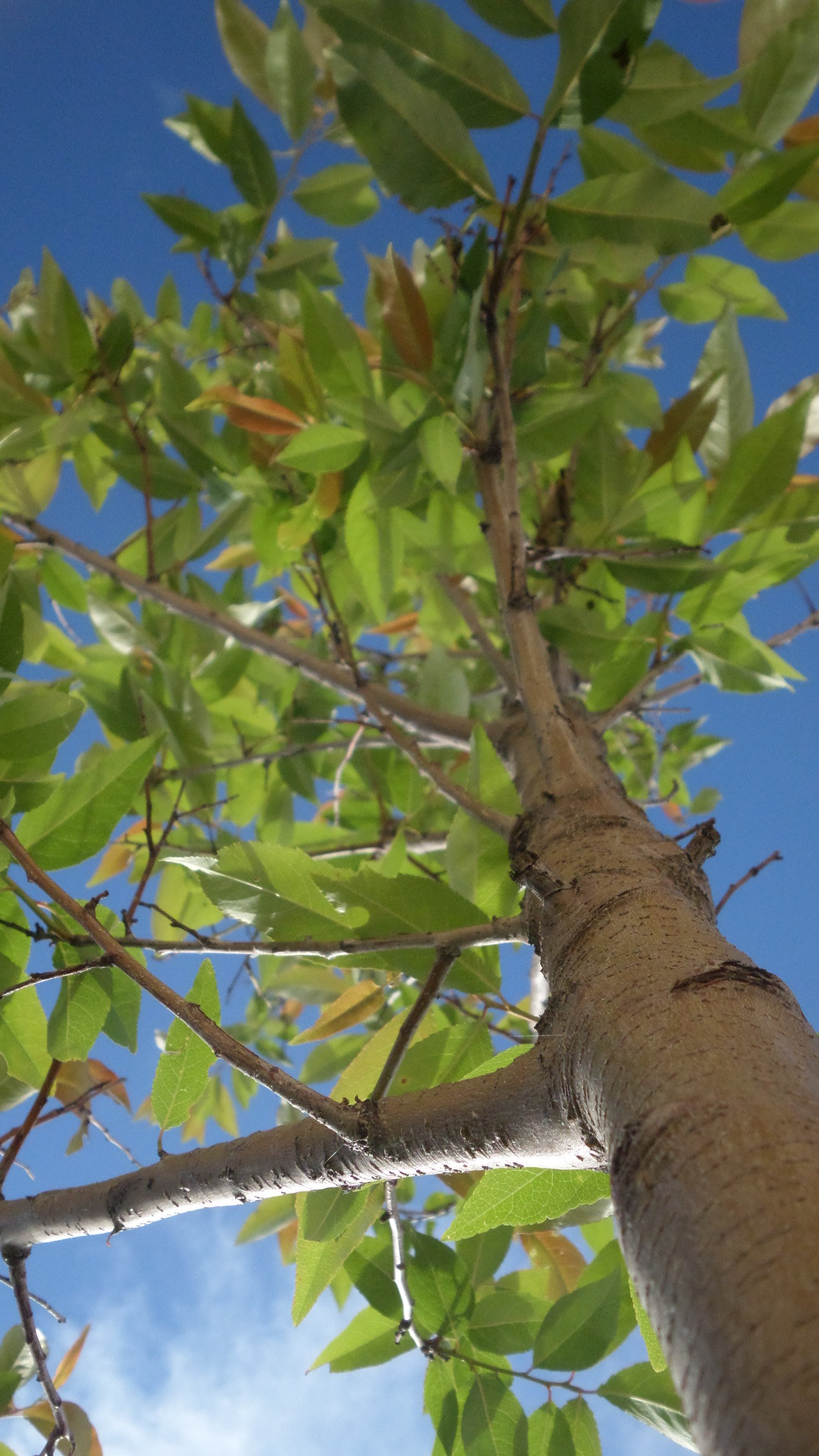 Samsung WB30F/WB31F/WB32F sample photo. ���� photography