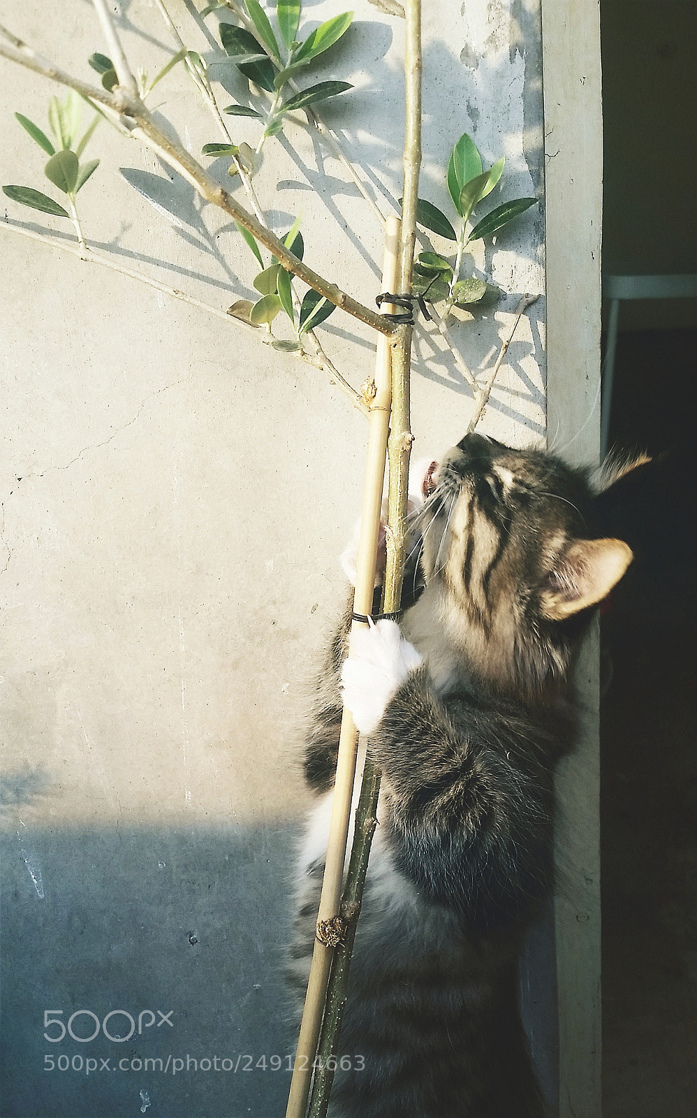 Samsung Galaxy S5 sample photo. I just want to photography