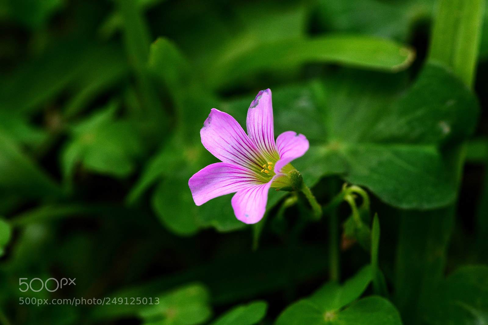 Nikon D7100 sample photo. Untitled photography