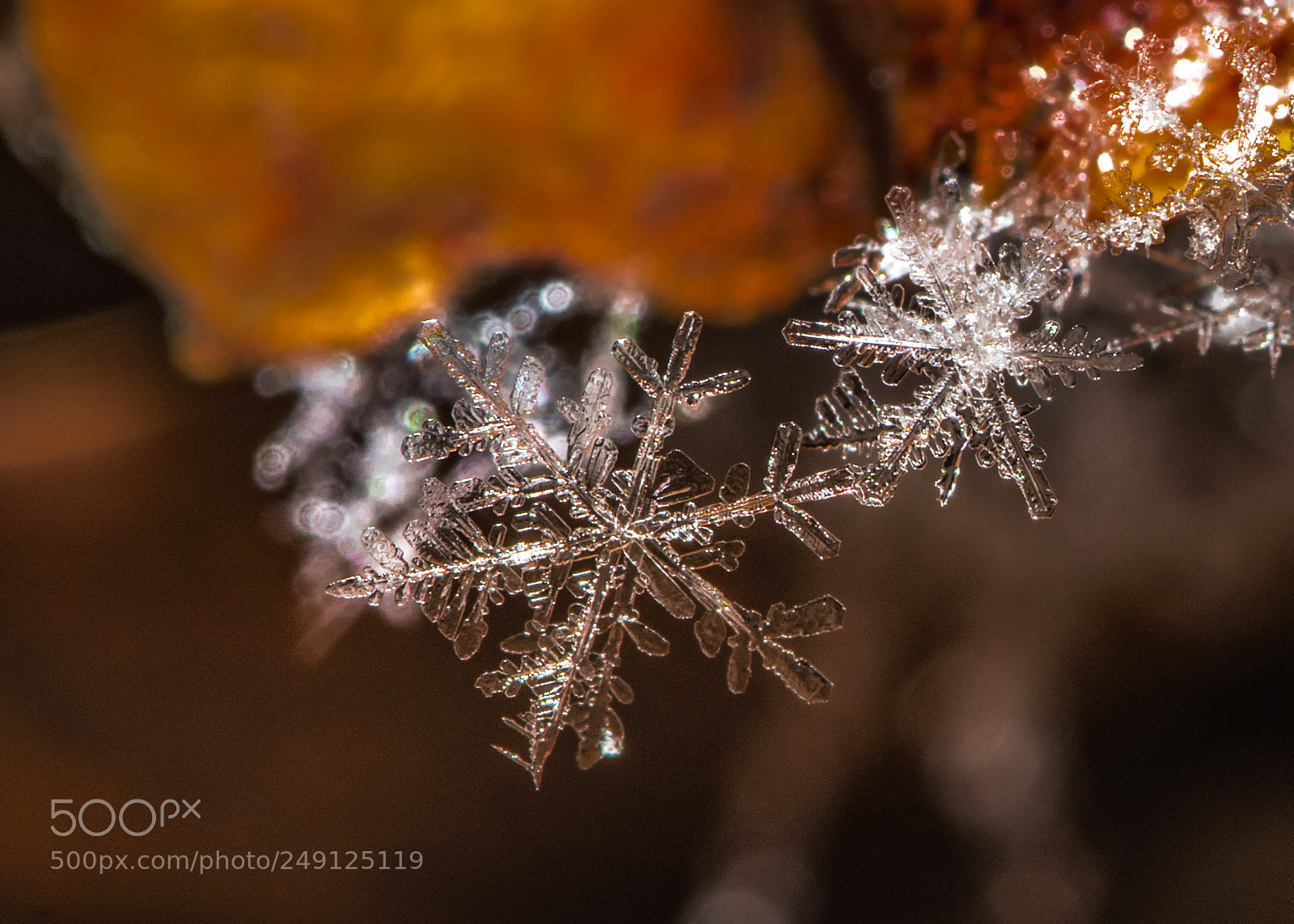 Nikon D7200 sample photo. Snowflakes photography