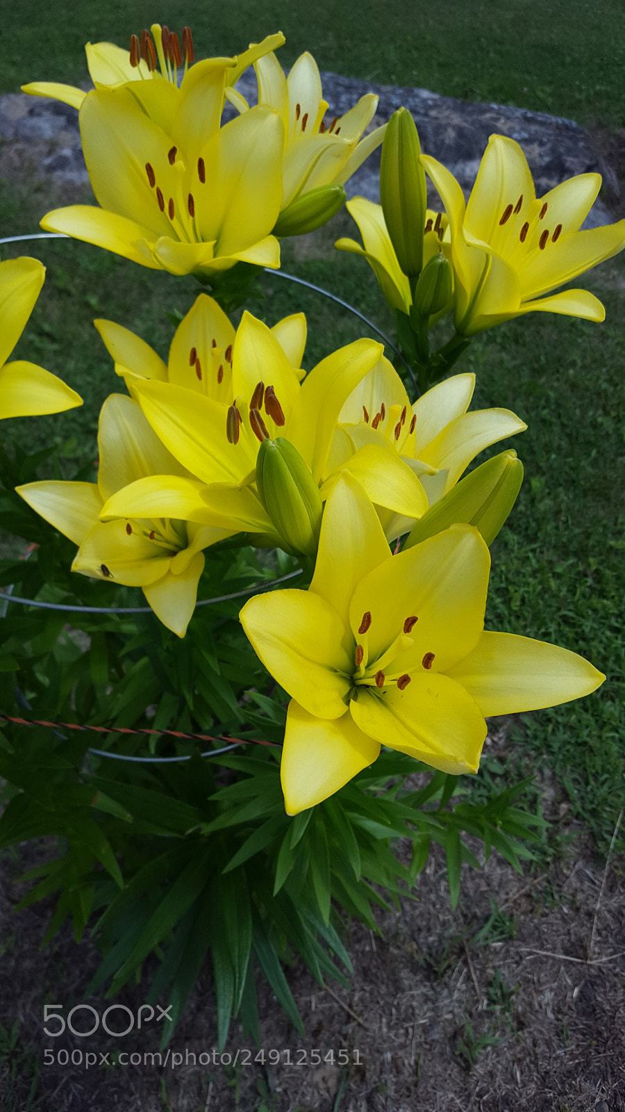 Samsung GALAXY S6 edge sample photo. 20170723_124735.jpg photography