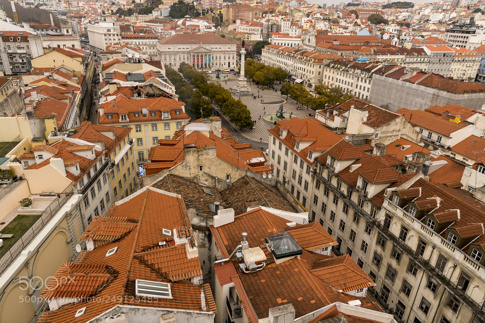 Nikon D500 sample photo. Lisbon portugal - february photography