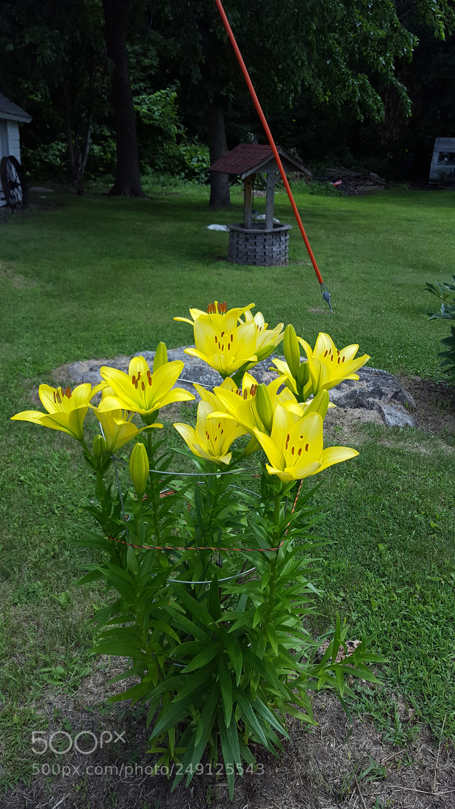 Samsung GALAXY S6 edge sample photo. 20170723_124728.jpg photography