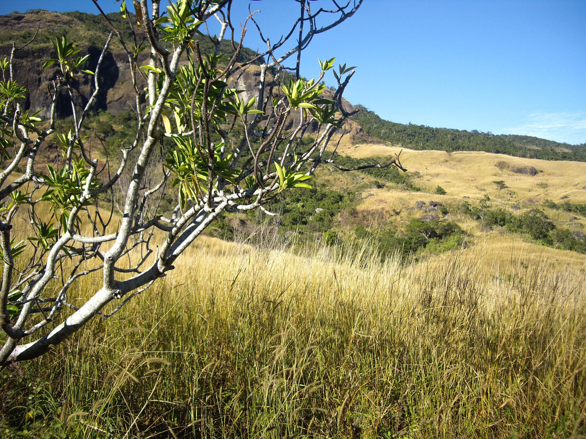 Pentax OPTIO S10 sample photo. Fiji photography