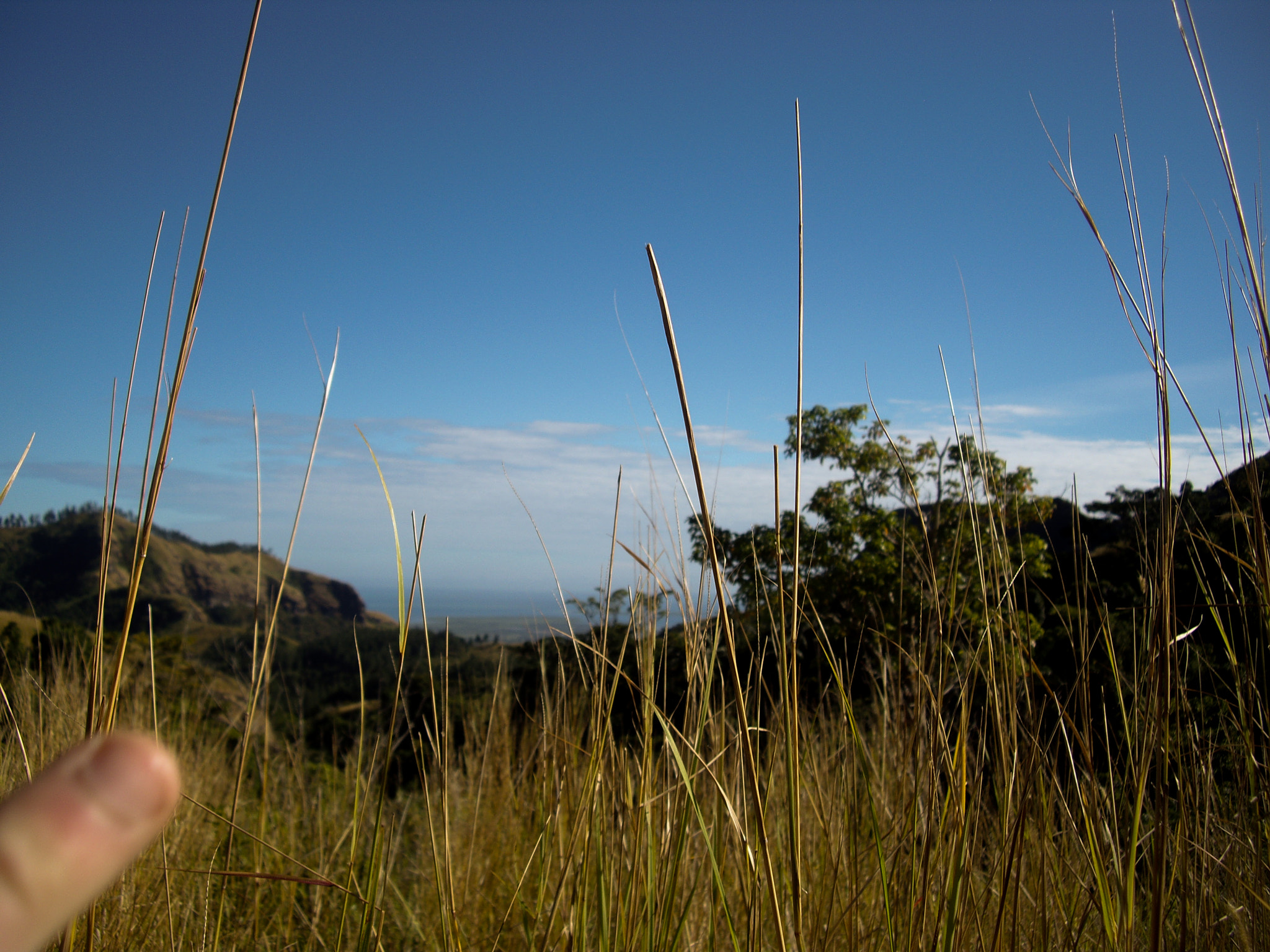 Pentax OPTIO S10 sample photo. Fiji photography