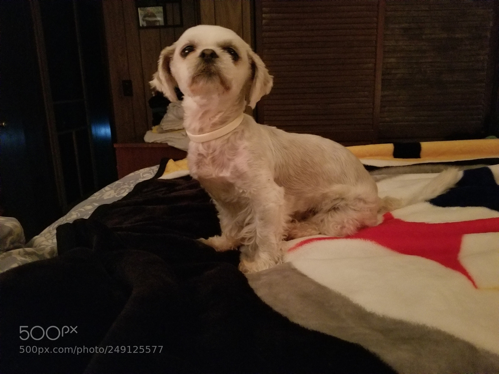 Samsung Galaxy S8 sample photo. 20170725_224540.jpg photography