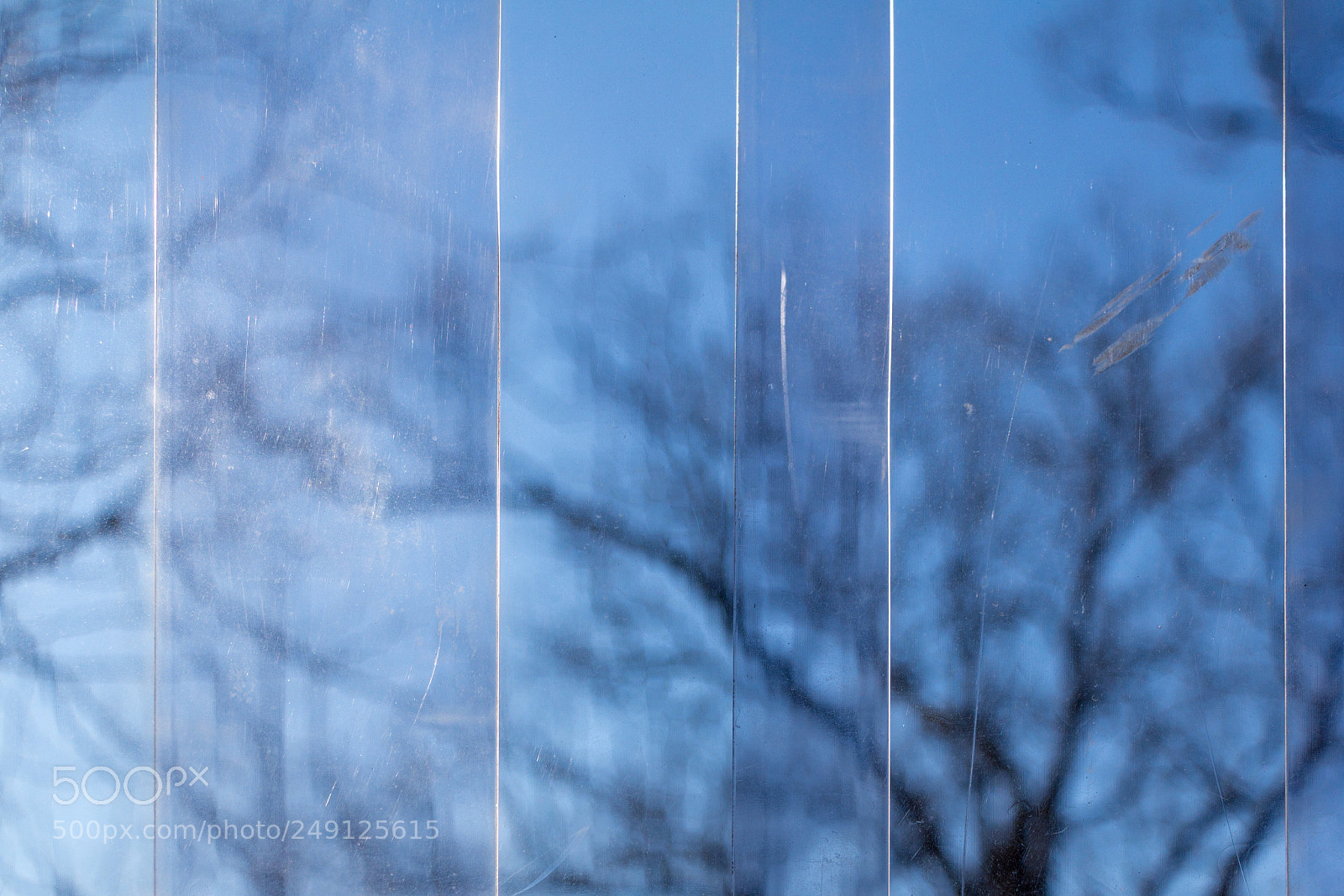Canon EOS 60D sample photo. 62/365: plastic coated photography