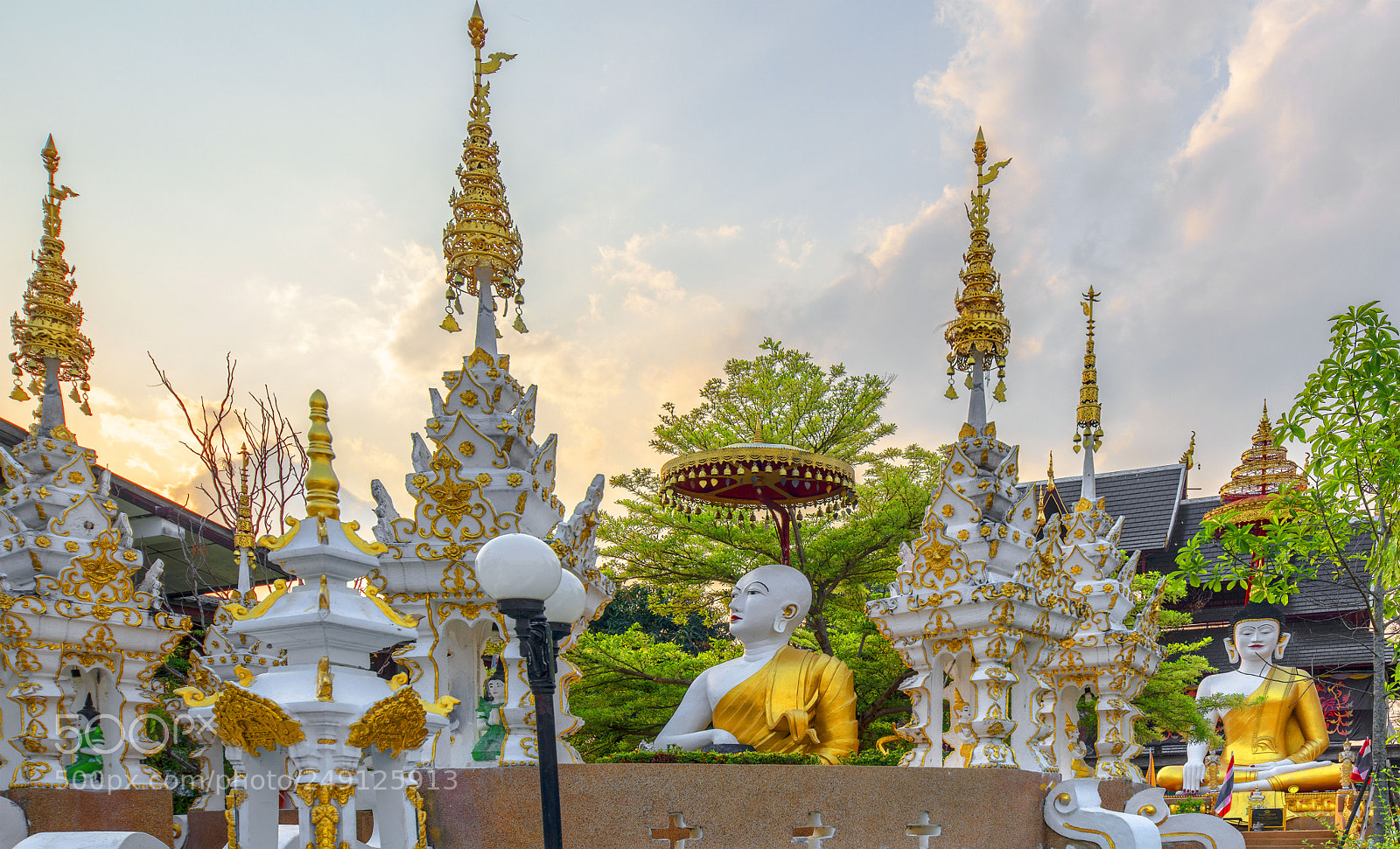 Nikon D850 sample photo. Wat san pu loei photography