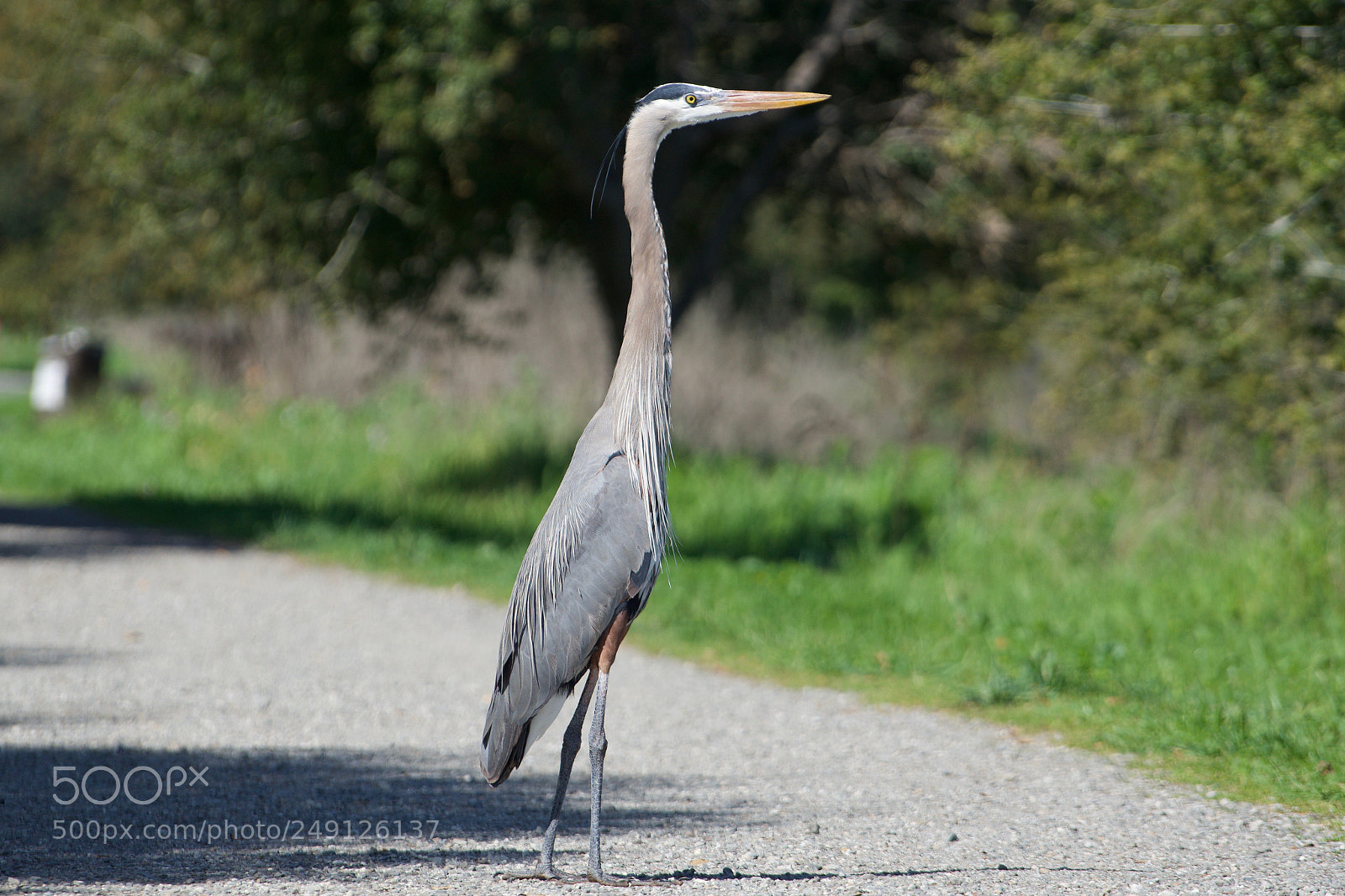 Sony a6000 sample photo. Walk at the lake photography