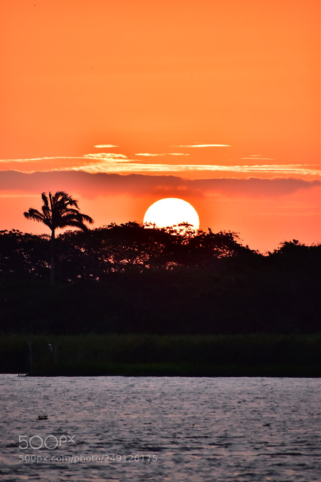 Nikon D5600 sample photo. Sunset from home... photography