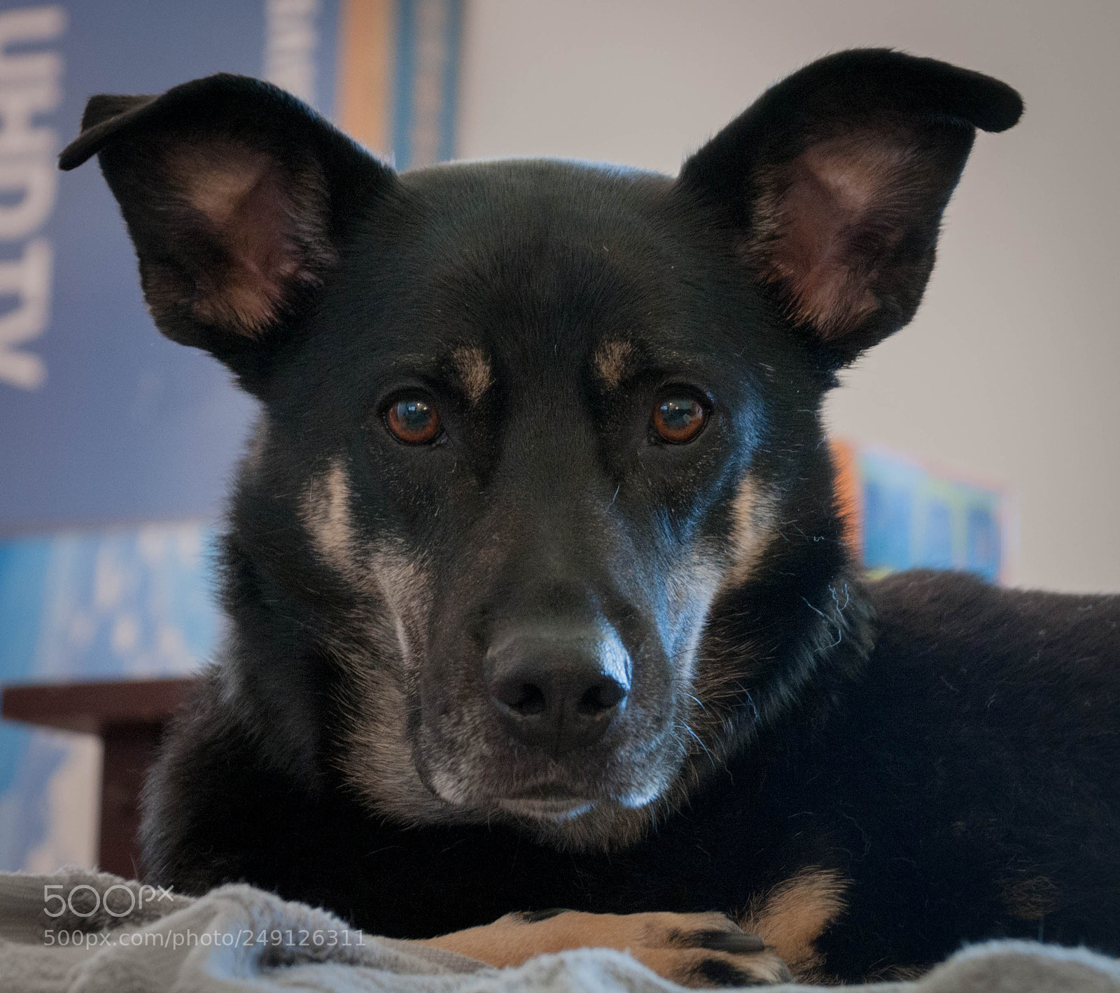 Nikon D300 sample photo. Did somebody say my photography