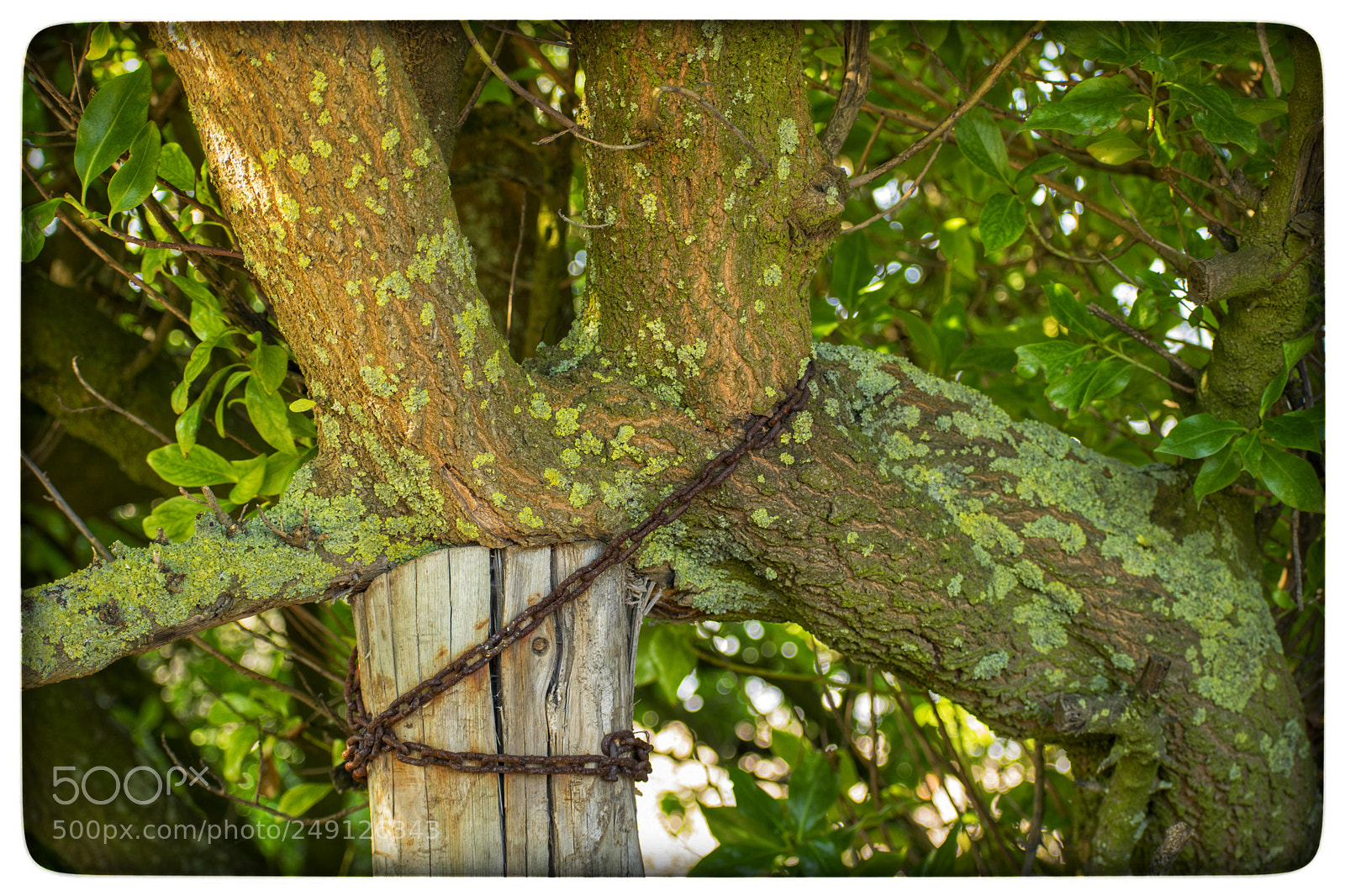 Nikon D5300 sample photo. Ya se robaron uno photography