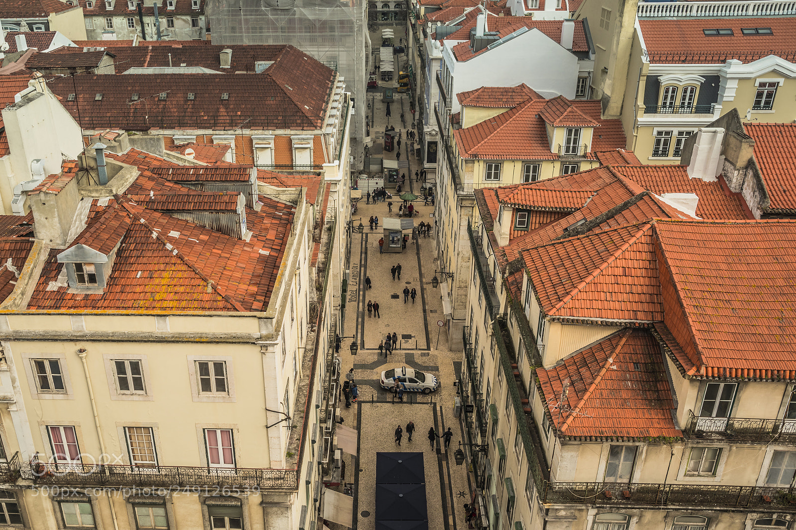 Nikon D500 sample photo. Lisbon portugal - february photography