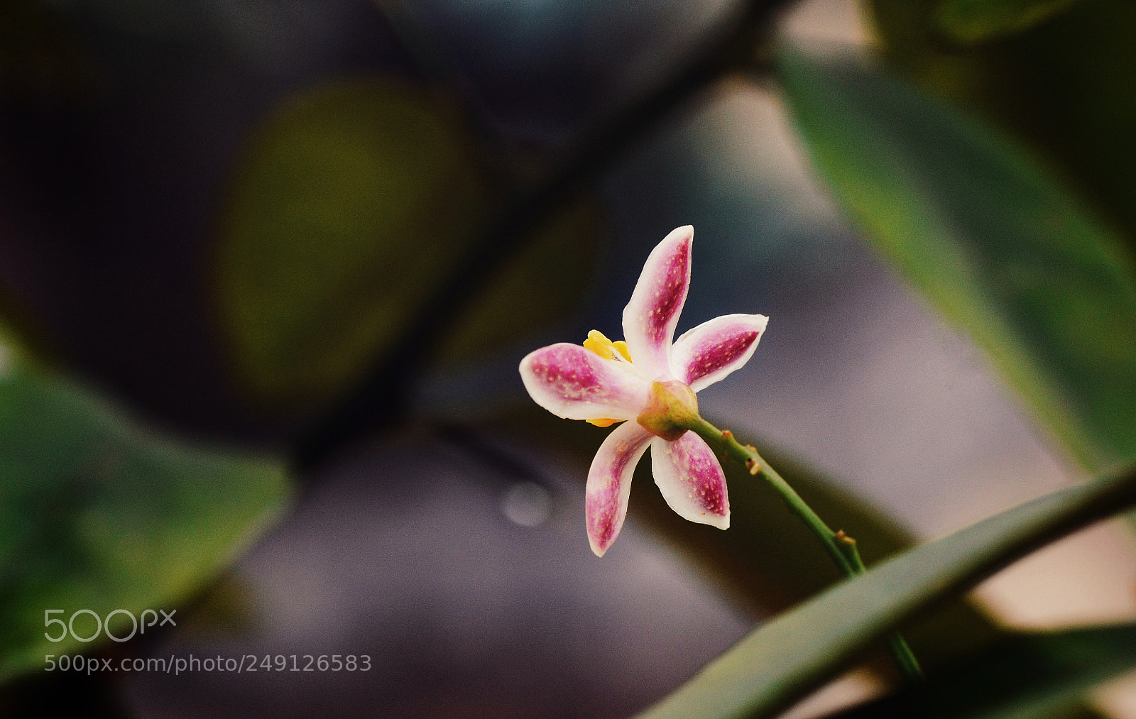 Nikon D7100 sample photo. Untitled photography