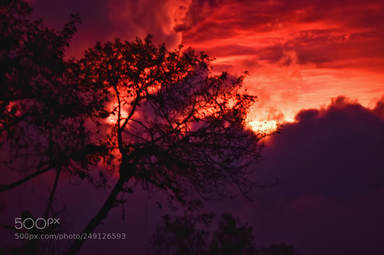 Nikon D5600 sample photo. A red sunset in photography