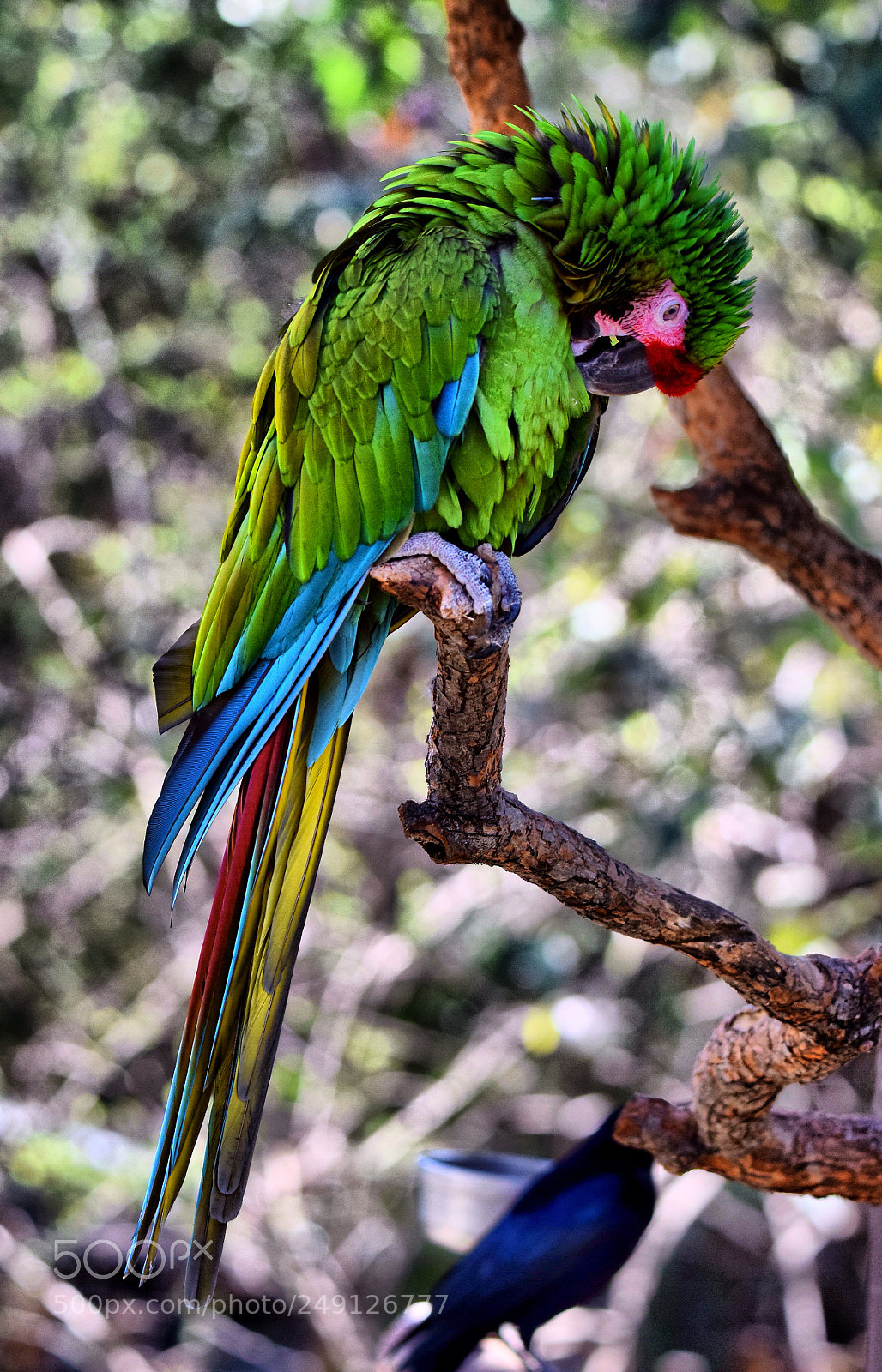 Nikon D5300 sample photo. Colors photography