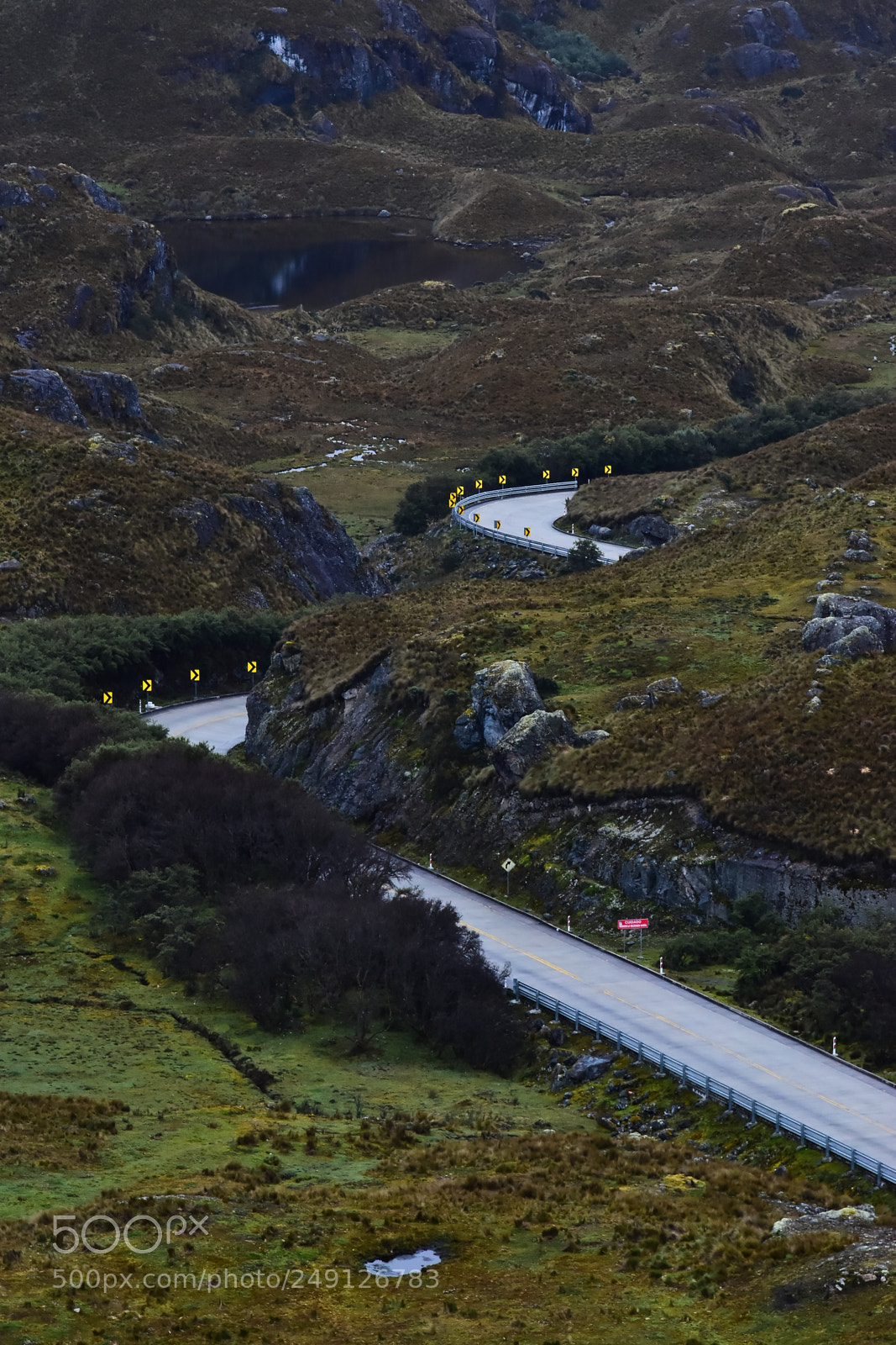 Nikon D5600 sample photo. My favorite highway photography