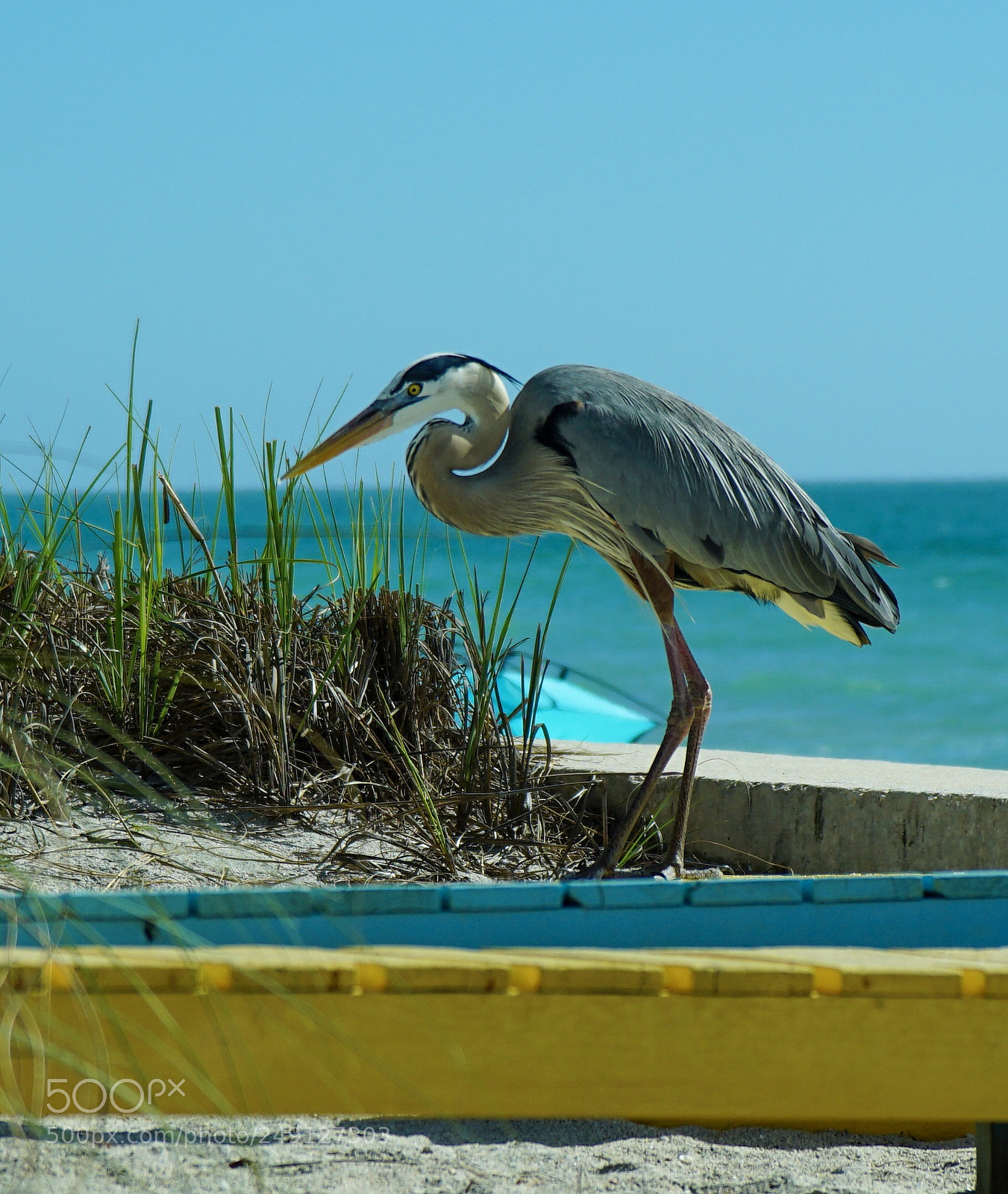 Sony a6300 sample photo. Florida keys west photography