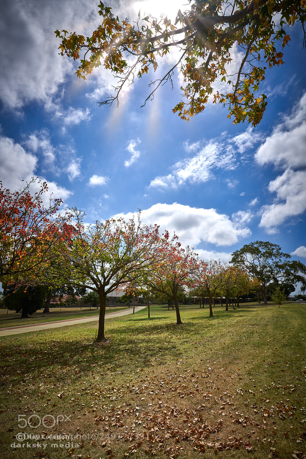 Sony a7R III sample photo. Autumnal parkland photography