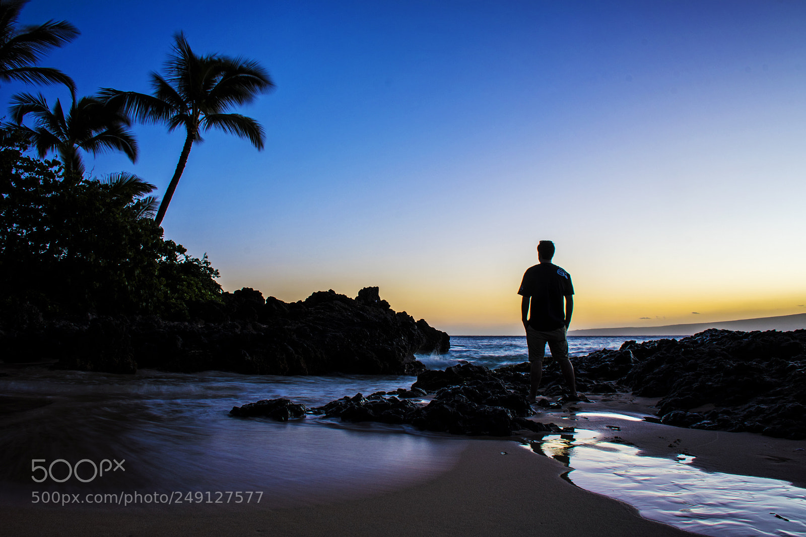 Nikon D500 sample photo. Makenna cove sunset photography