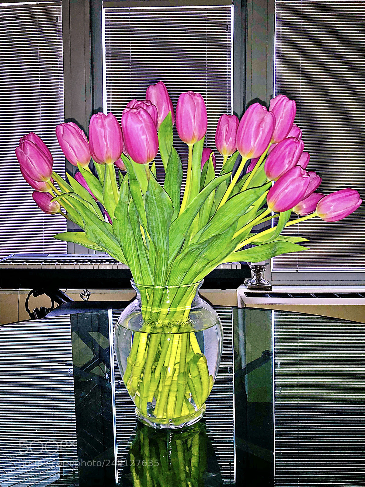 Apple iPhone X sample photo. Tulips photography