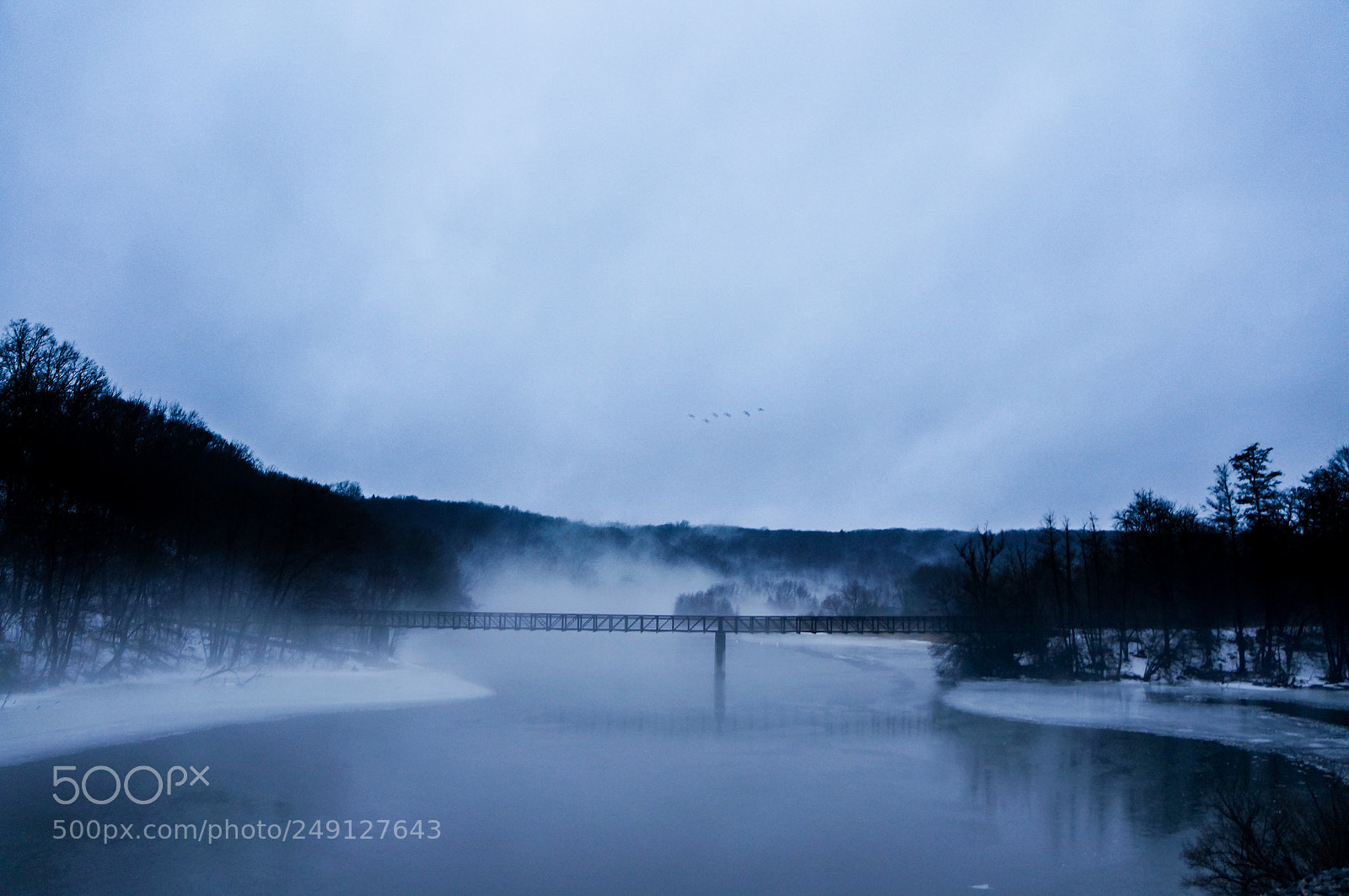 Sony Alpha NEX-5R sample photo. Geese and bridge in photography