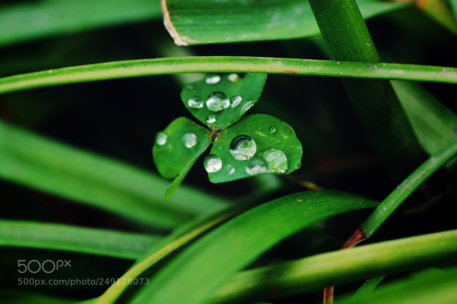 Nikon D7100 sample photo. Untitled photography